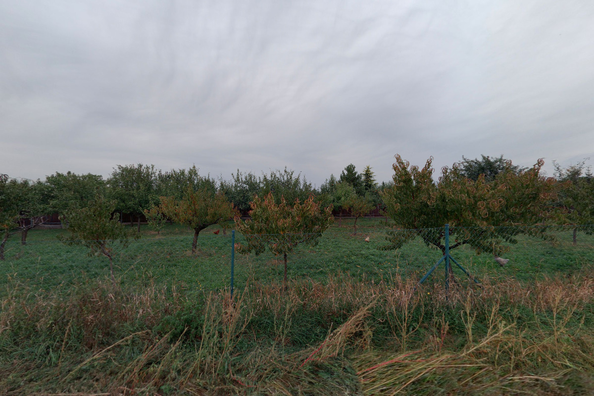 Adventure Golf Pálava foto 6