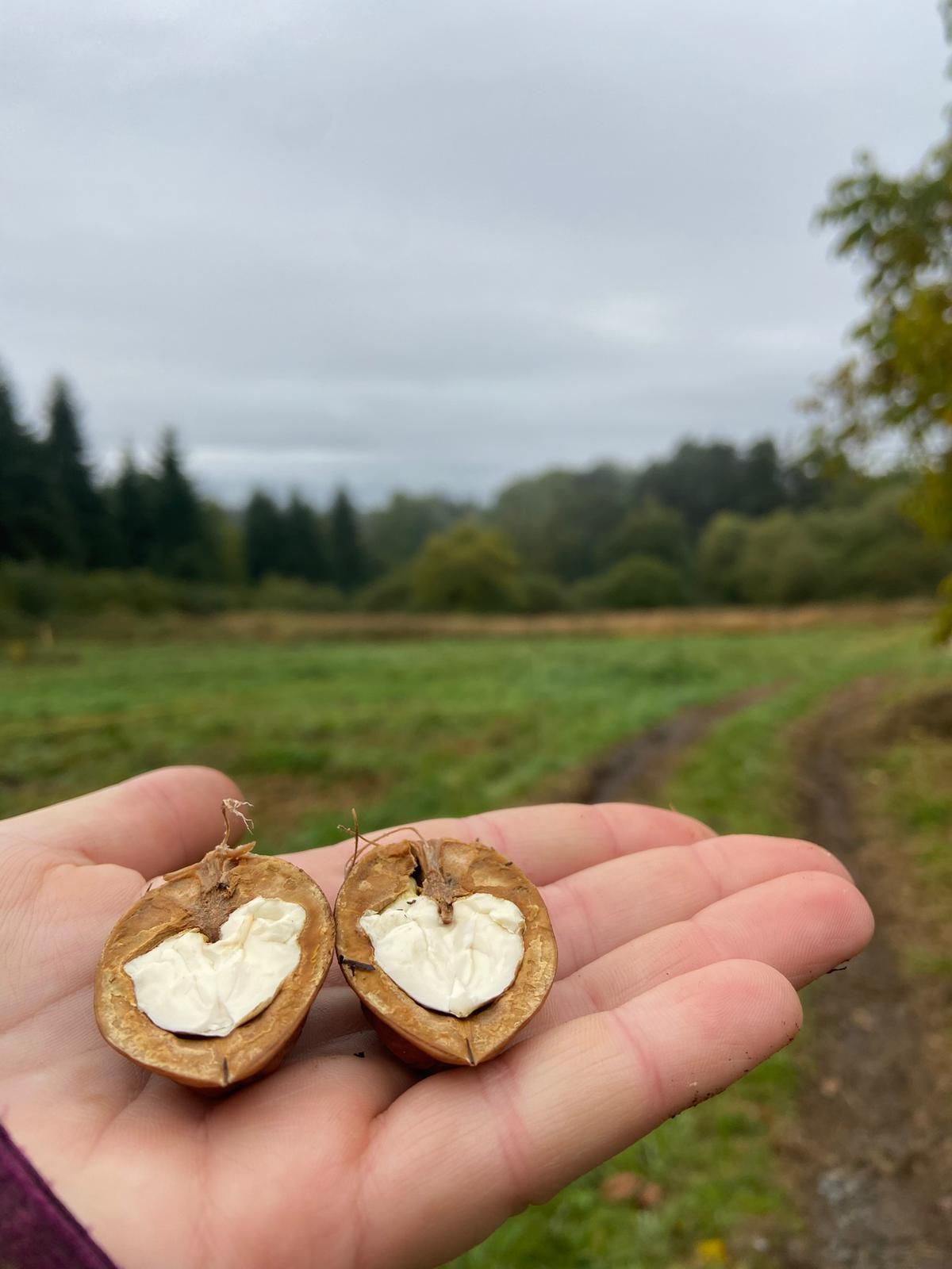 Lost Creek Ranch foto 1