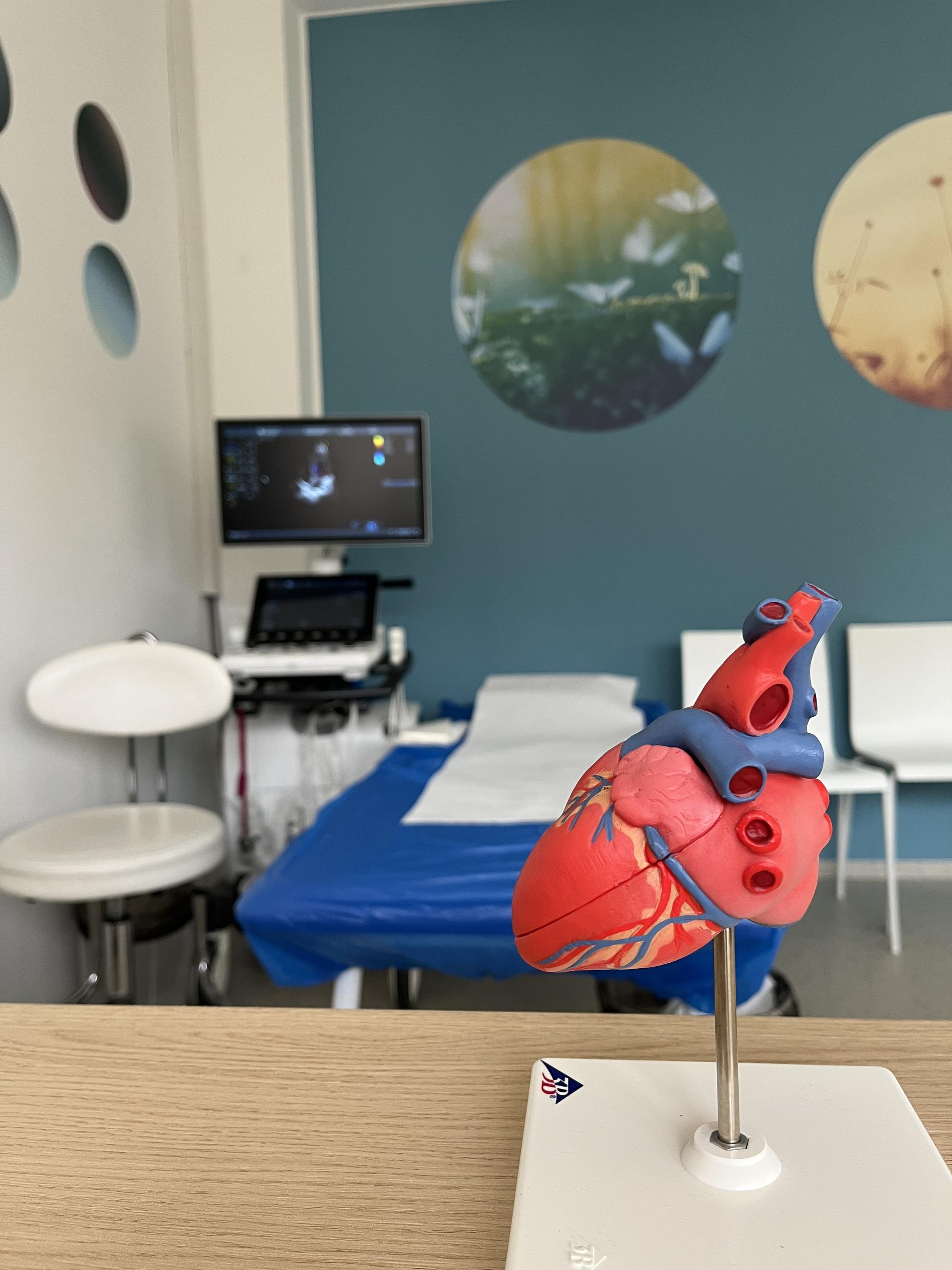 KARDIF, kardiologie dětská i fetální foto 2