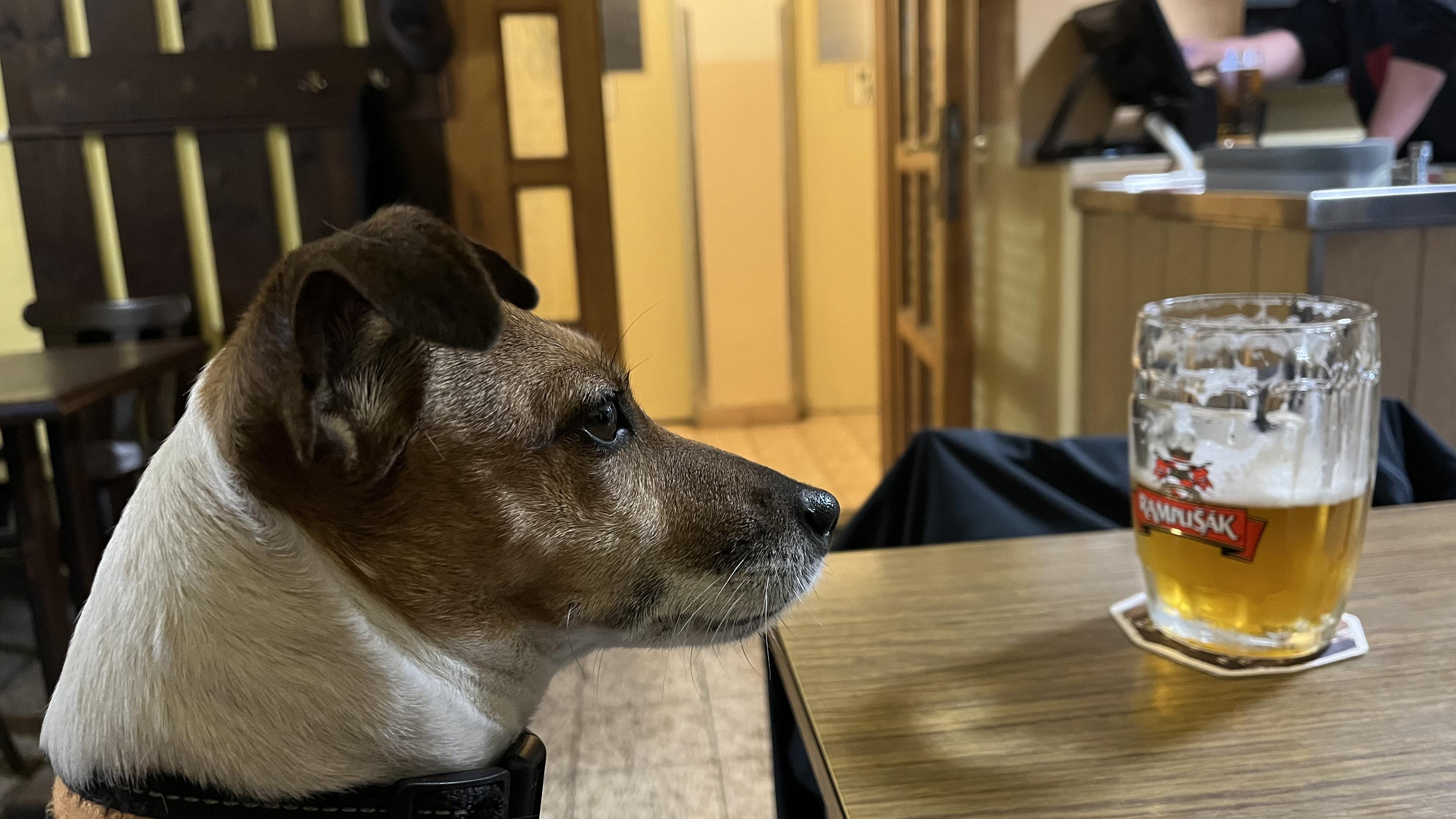 Hospůdka Bumbálka foto 3