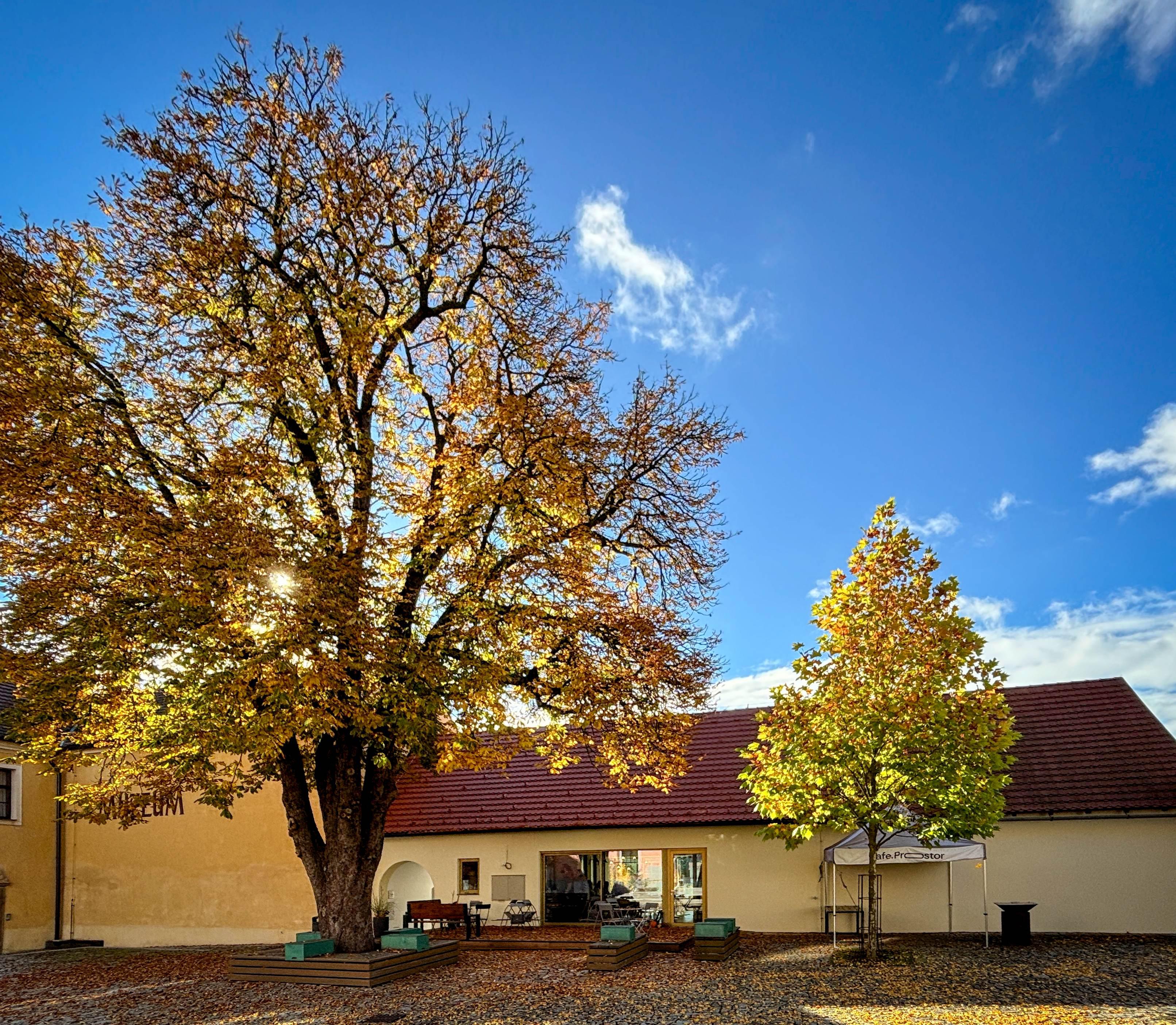 Městské muzeum ve Stříbře foto 5