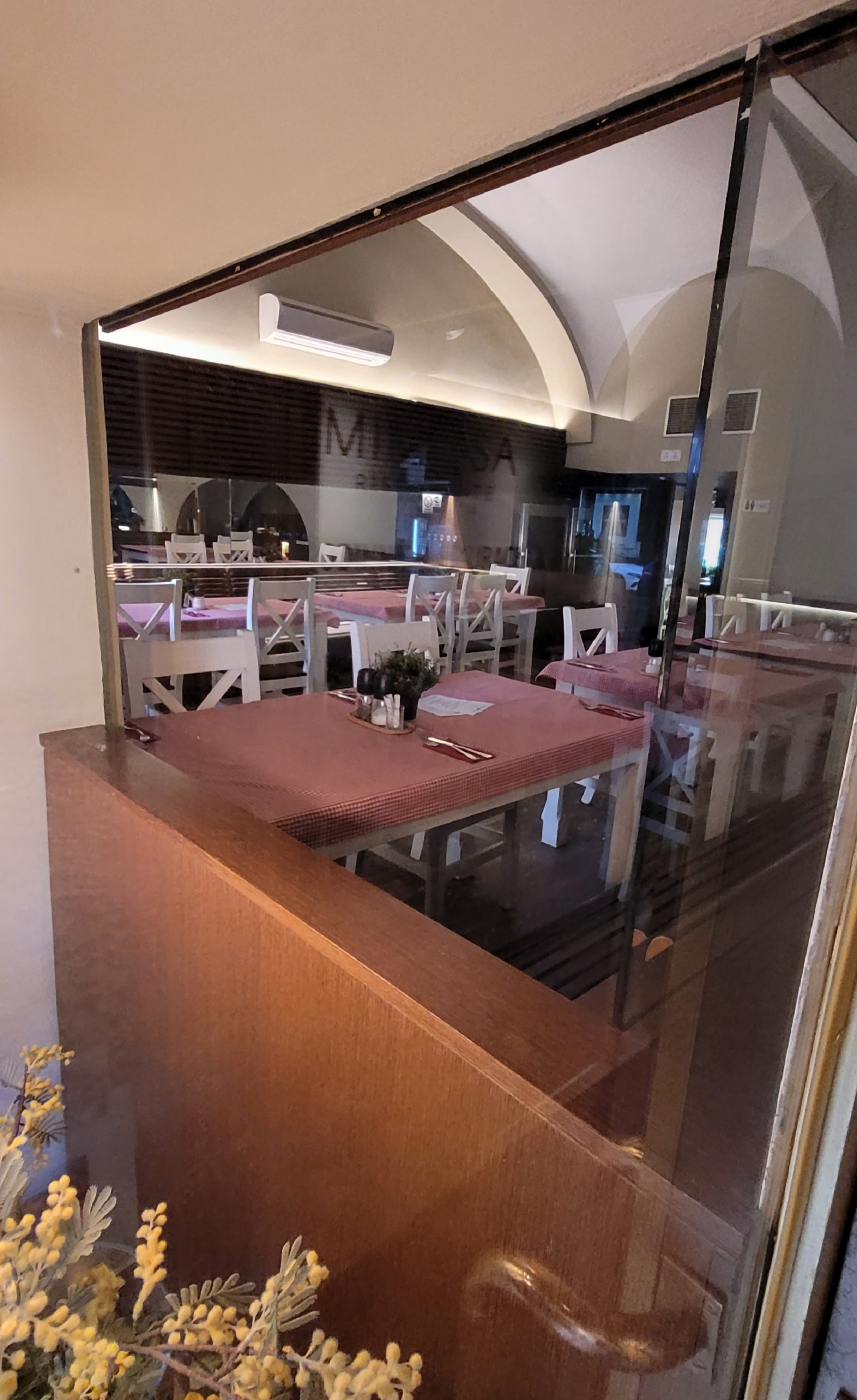 Ristorante Mimosa foto 4