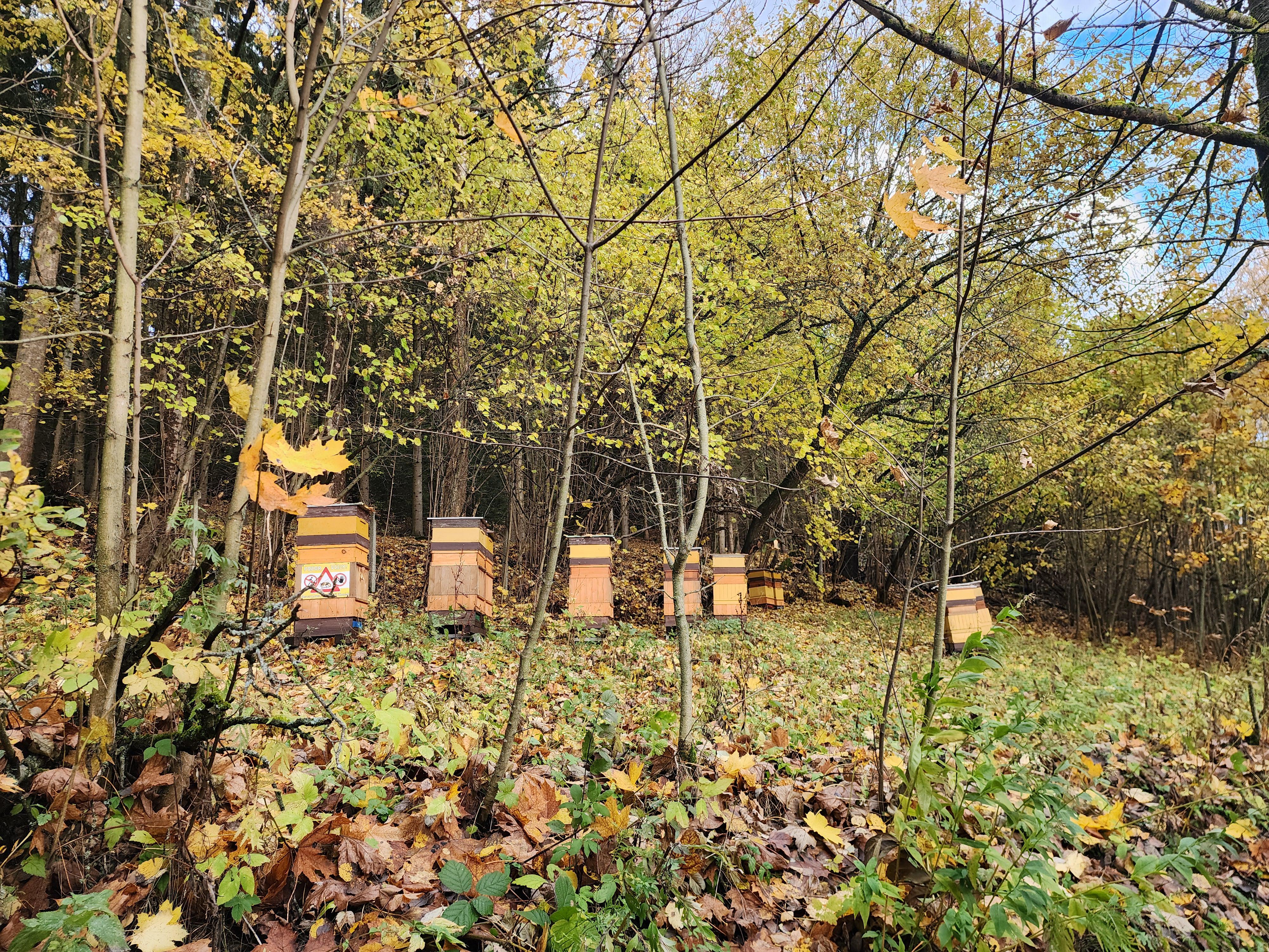 Výzkumný ústav včelařský - Pokusný včelín Pekařov foto 3