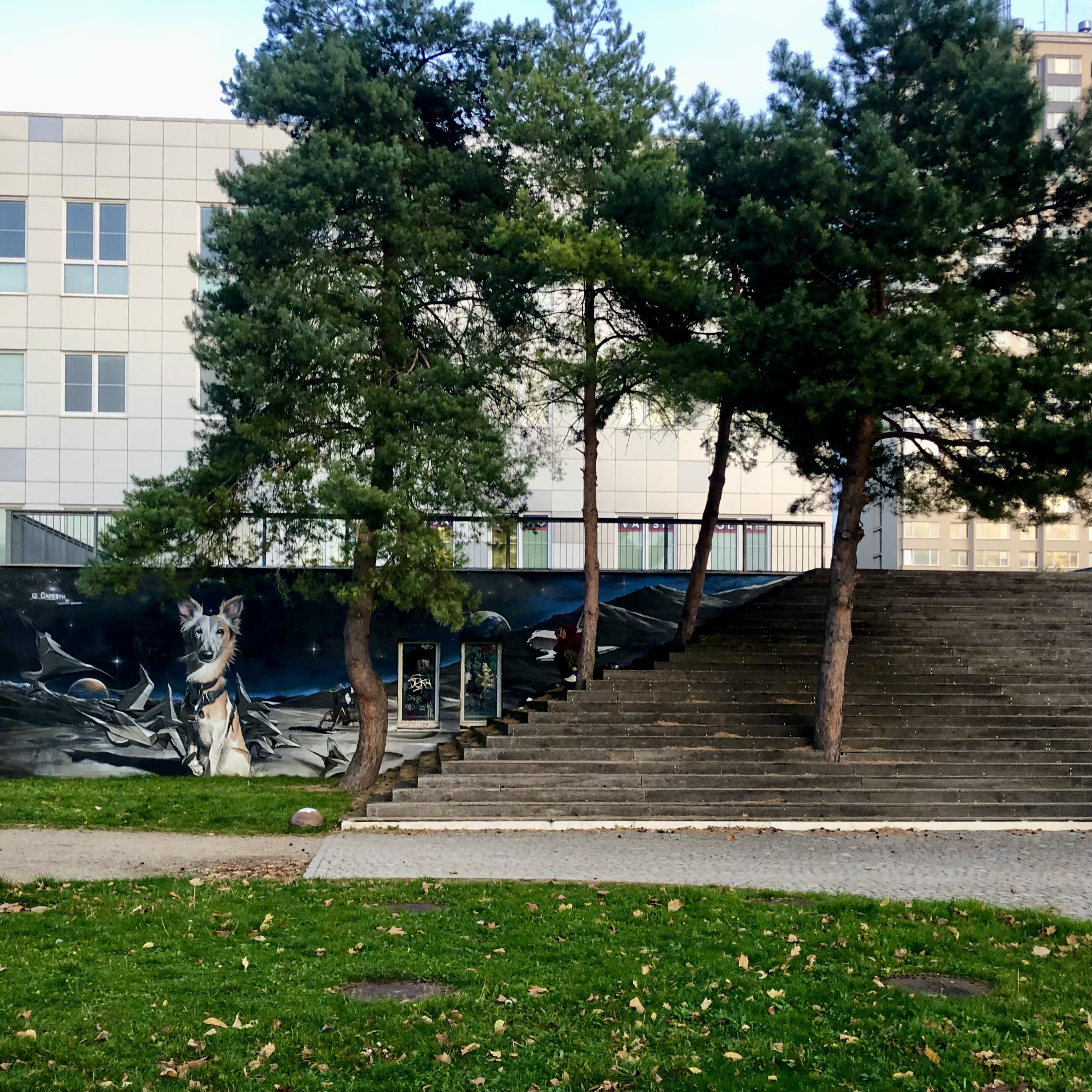 Kulturní dům Krakov foto 5