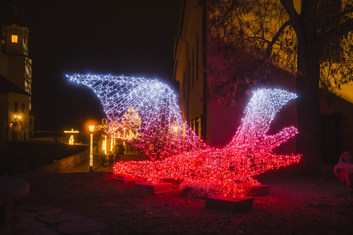 Story of Lights foto 2