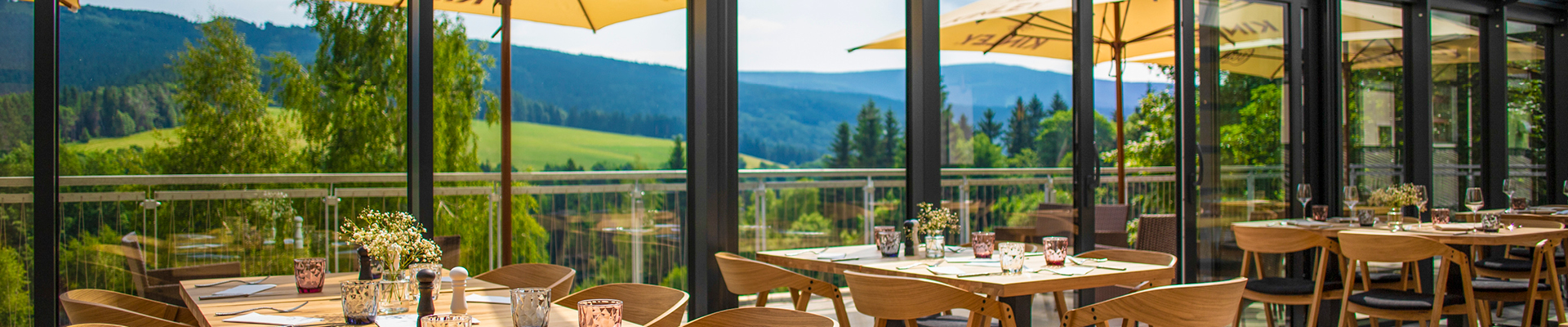 Úvodní obrázek Amenity Restaurace Orlické hory