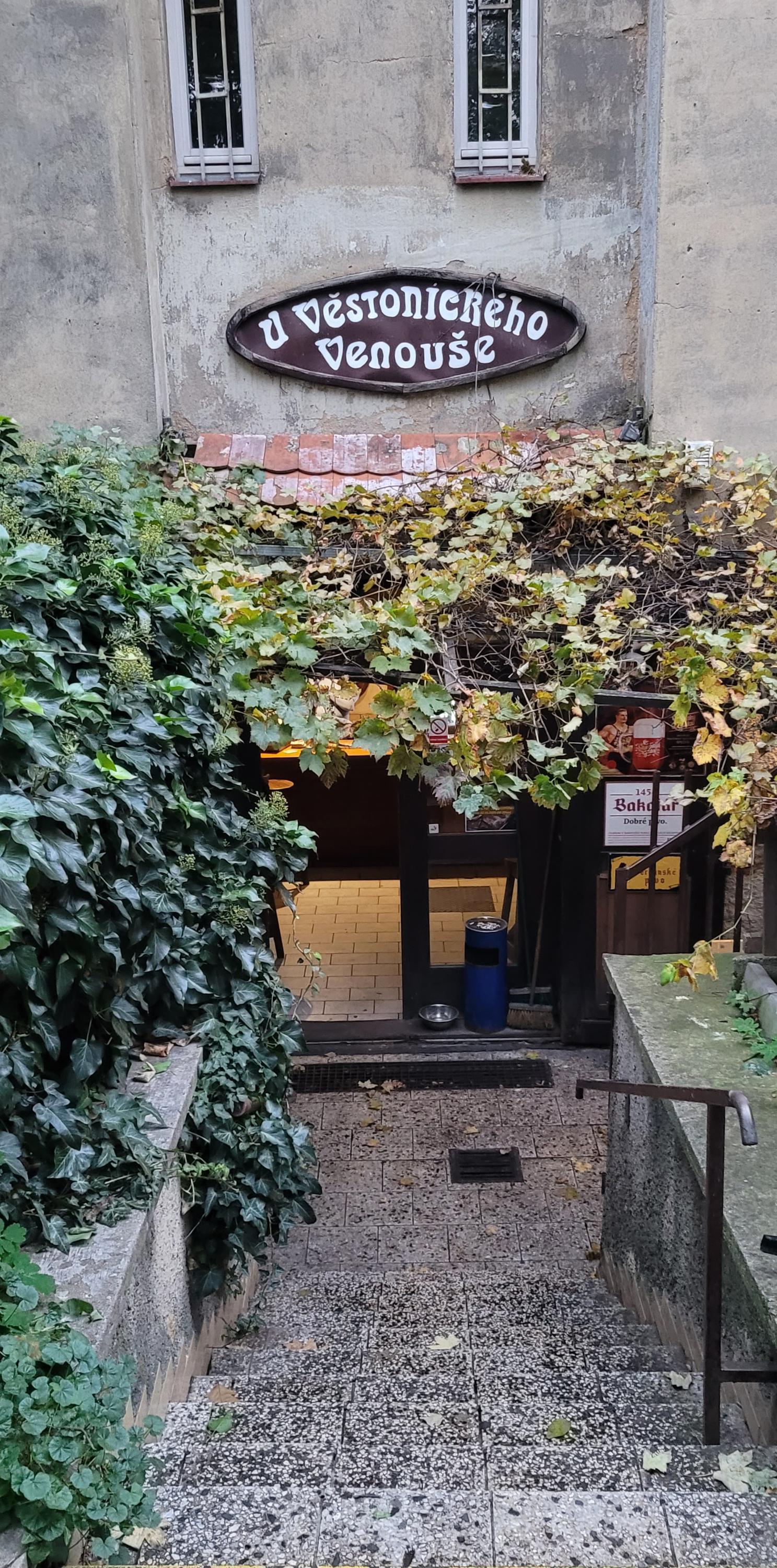 Vinárna U Věstonického Venouše foto 2
