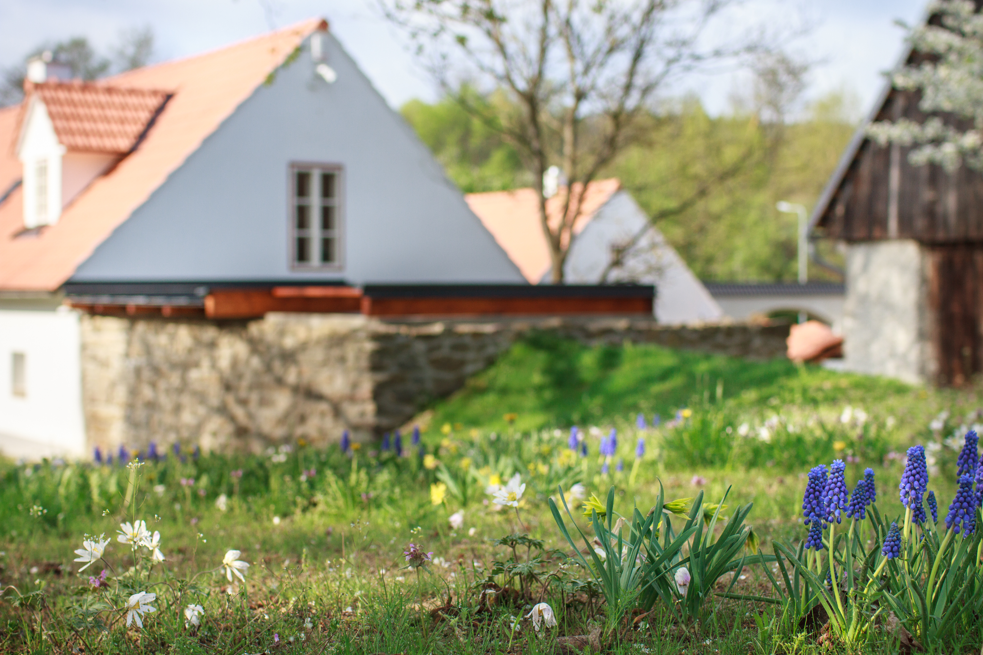 Atelier Za Mák foto 4