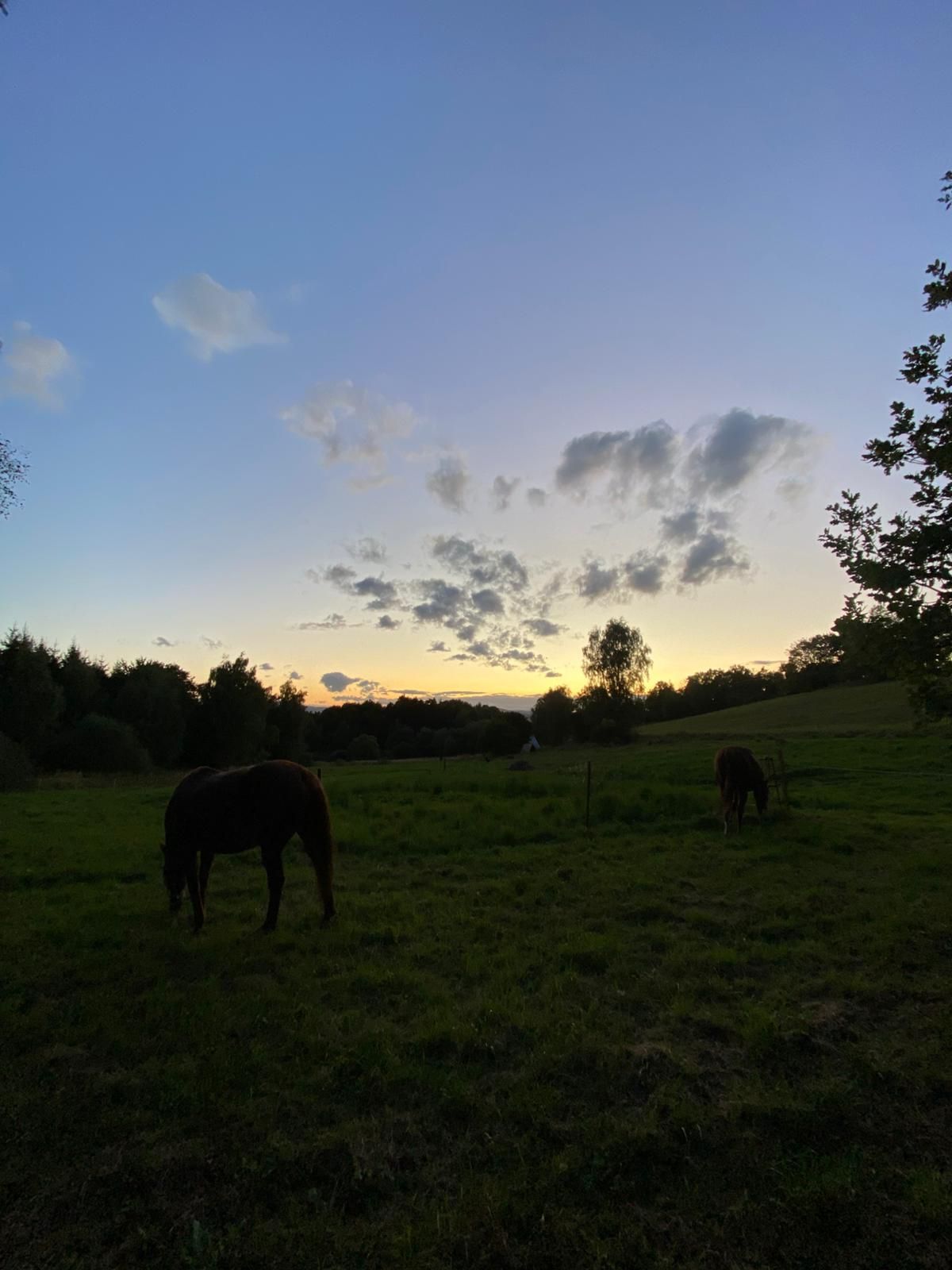 Lost Creek Ranch foto 4