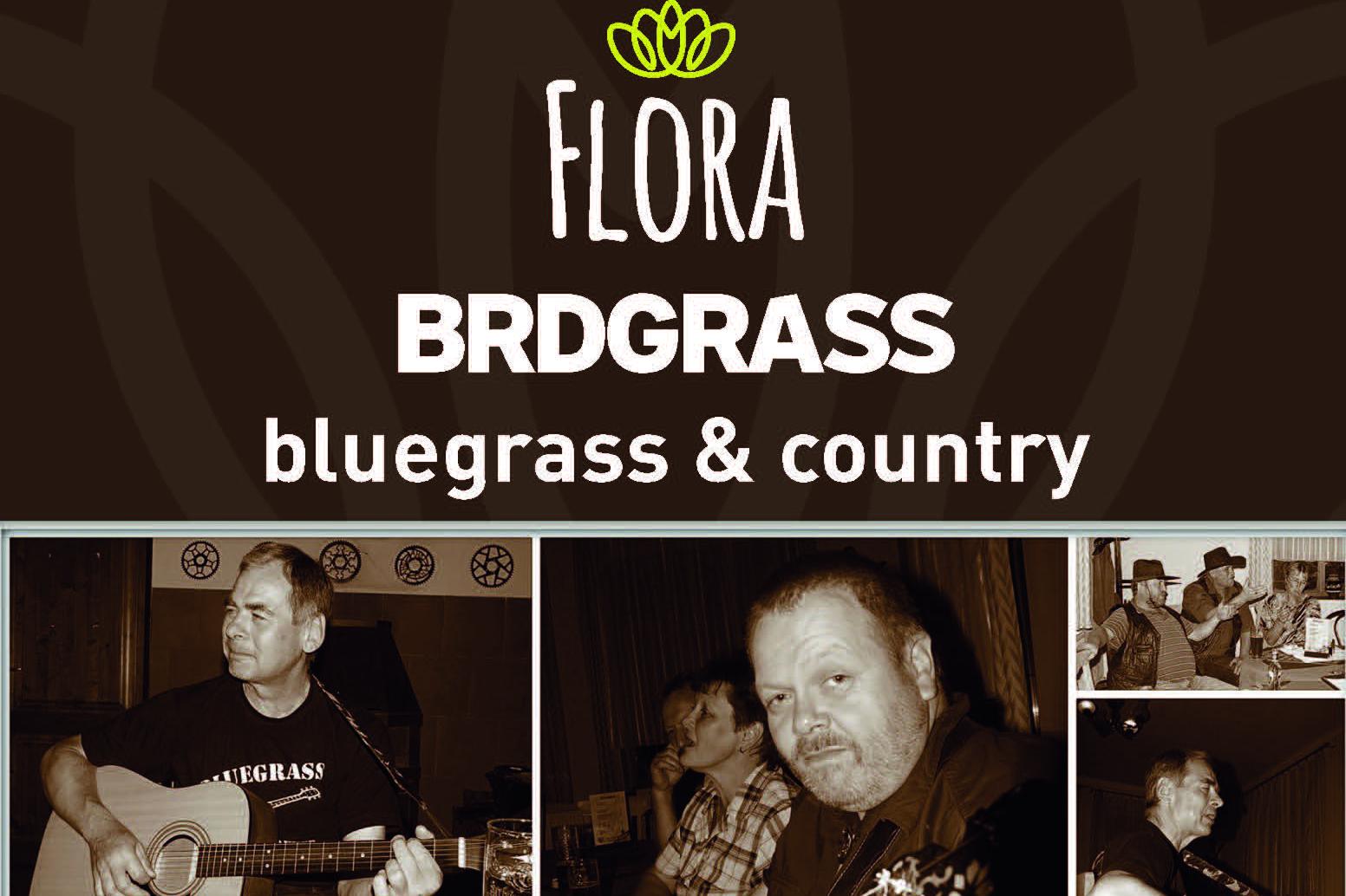 Zpívaná - BRDGRASS & COUNTRY