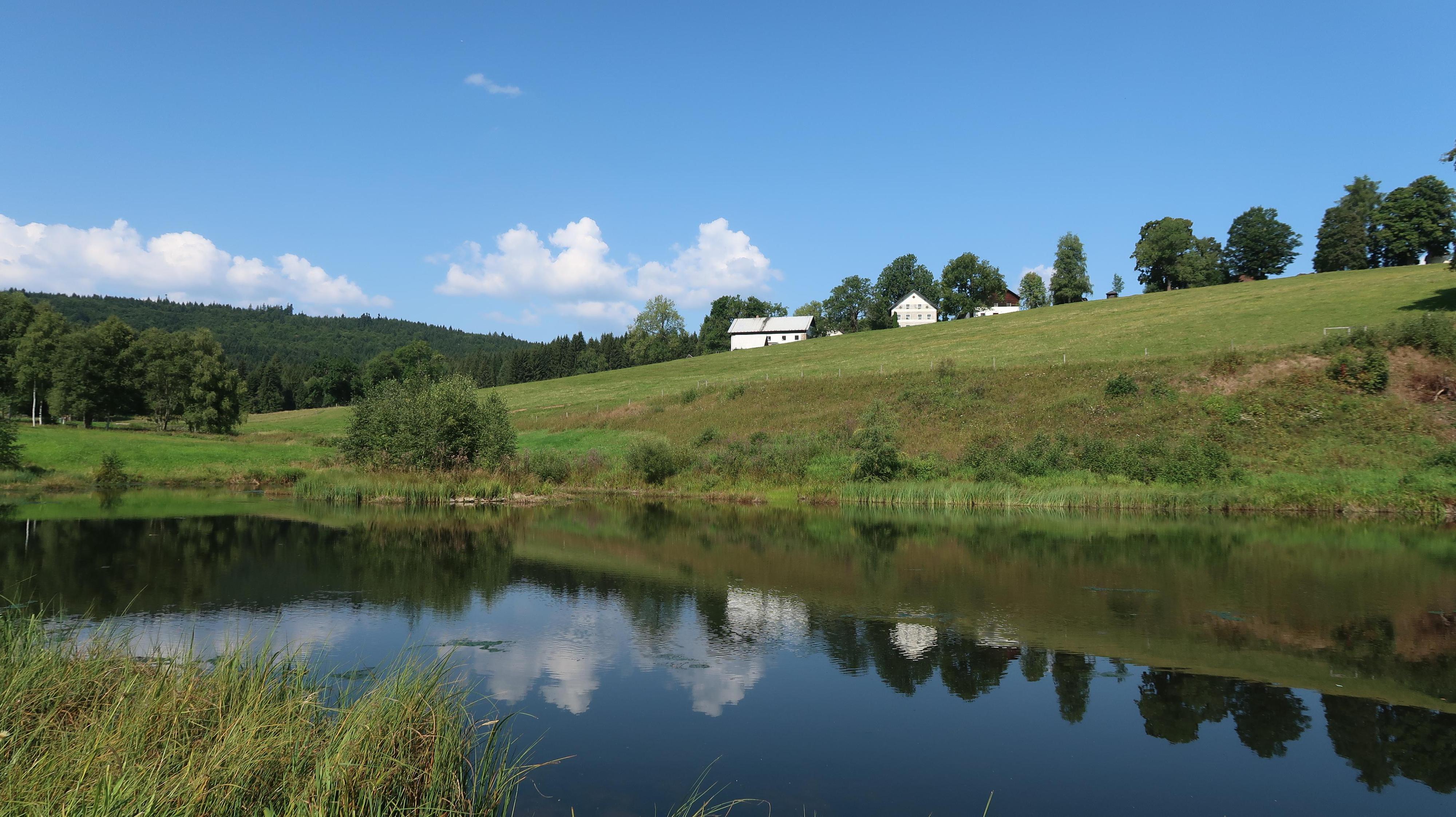 Farma Michlovka foto 2