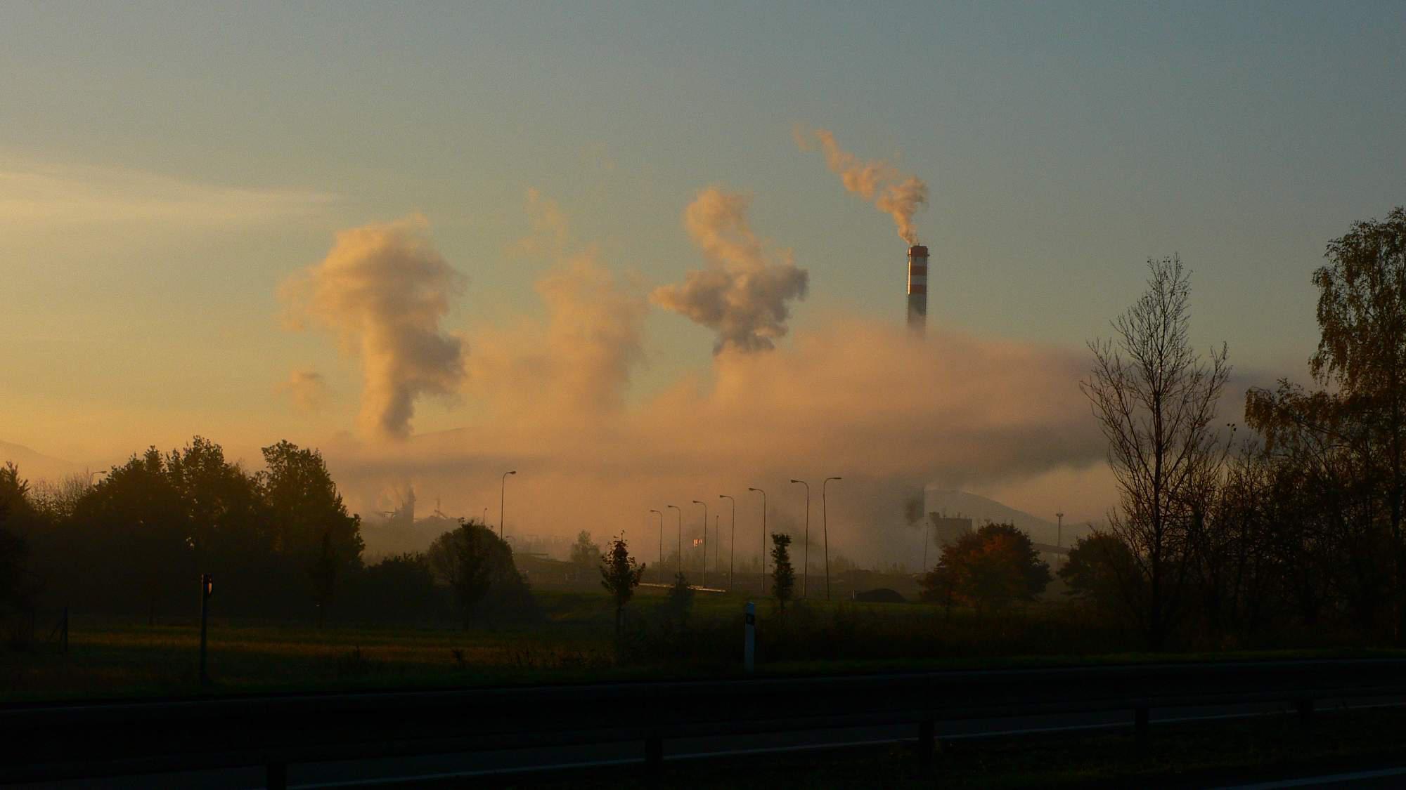 Dřevovýroba Dinas, s.r.o. foto 2