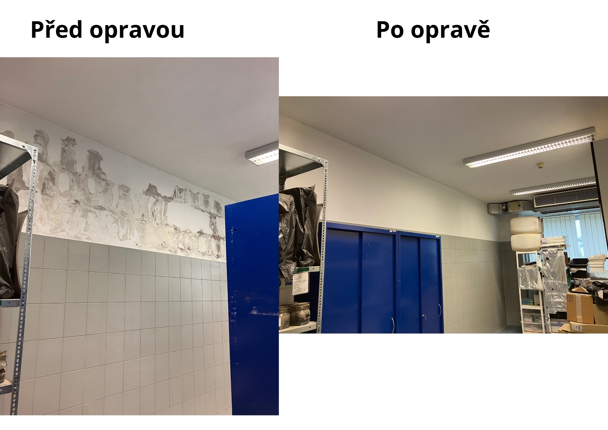 Betacolors.cz foto 6