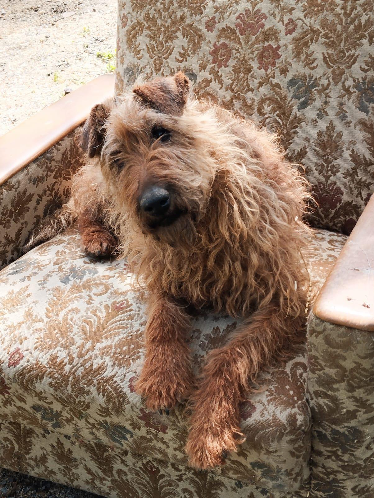 Naše hospodářství Šachov foto 4