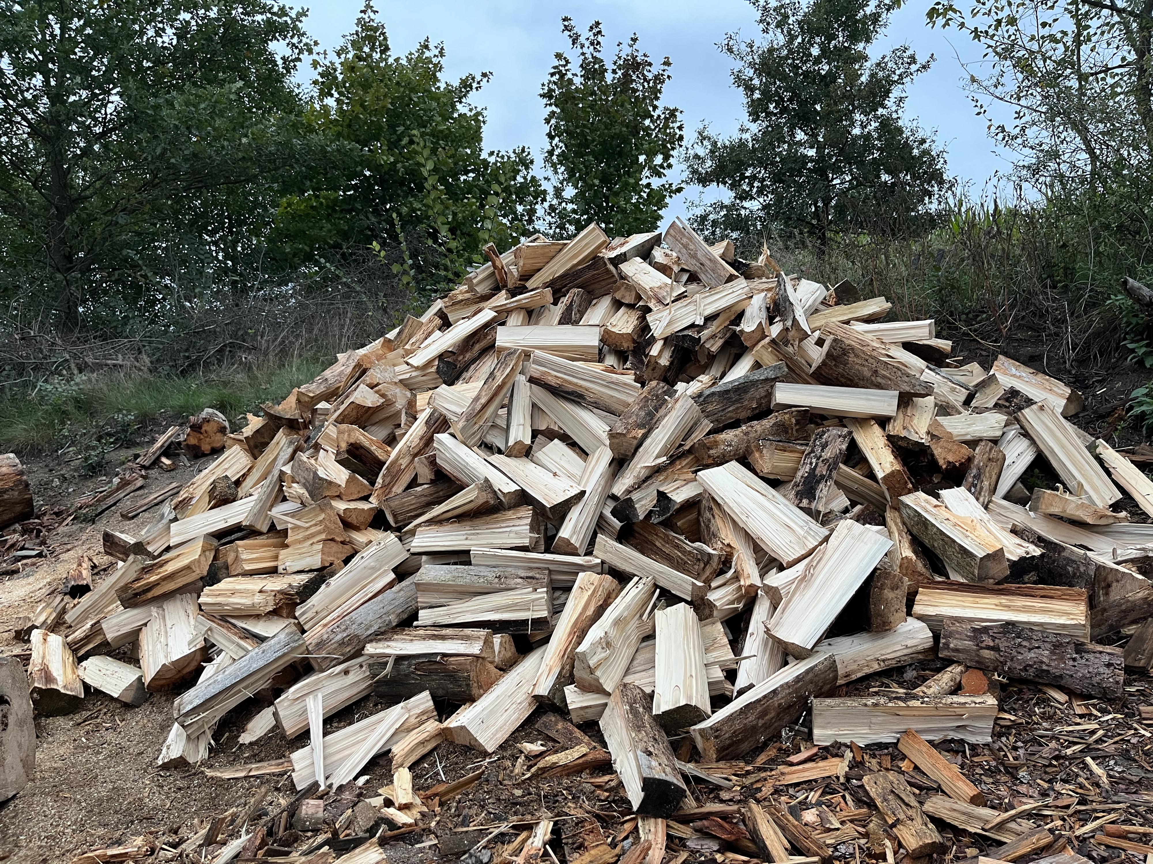 Dřevo Dřevojan foto 2