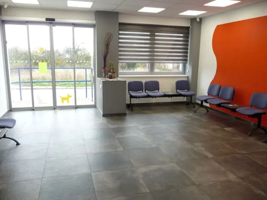 Veterinární klinika Přímětice foto 2