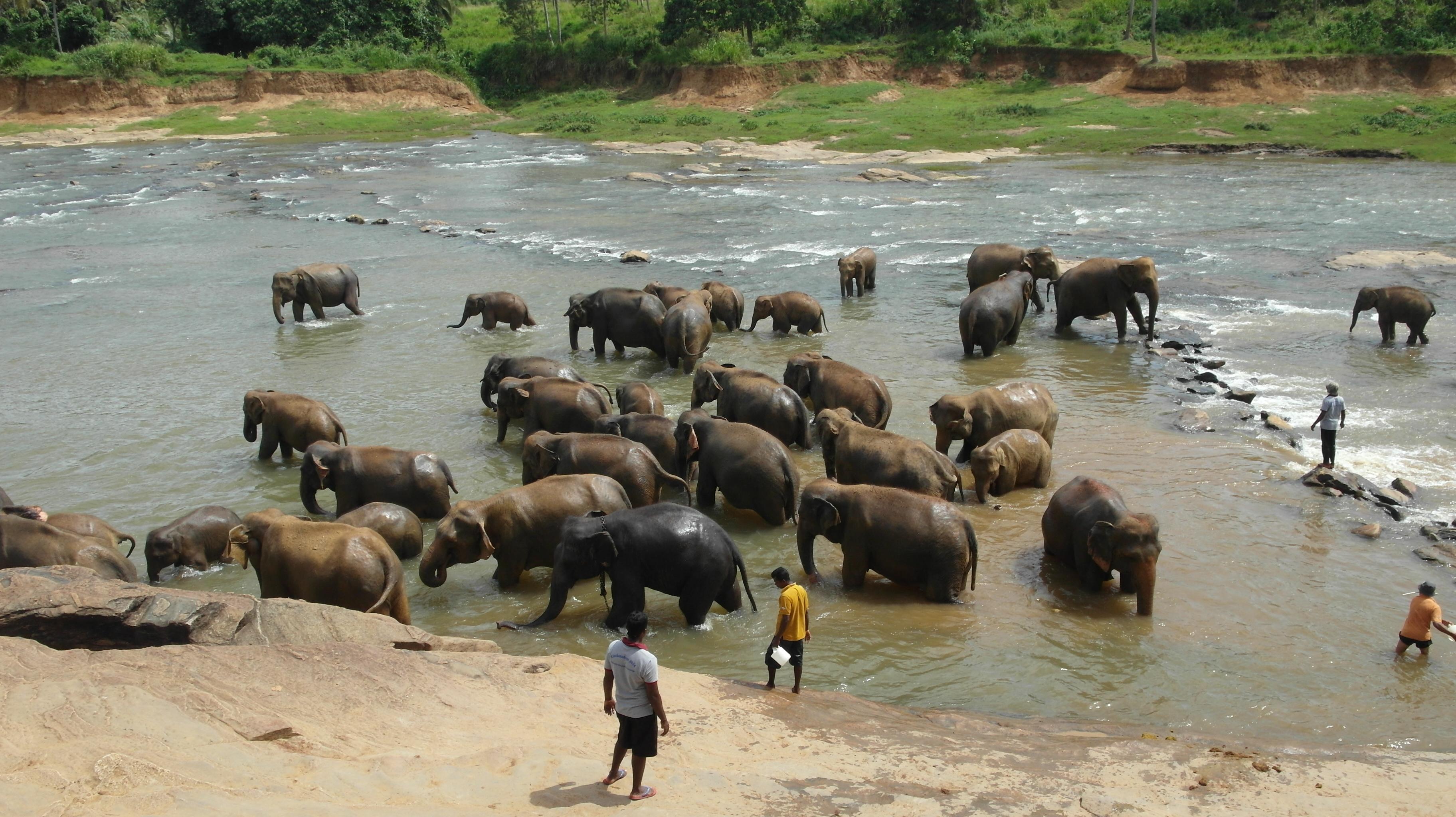 Internetová cestovní kancelář TILIA foto 3