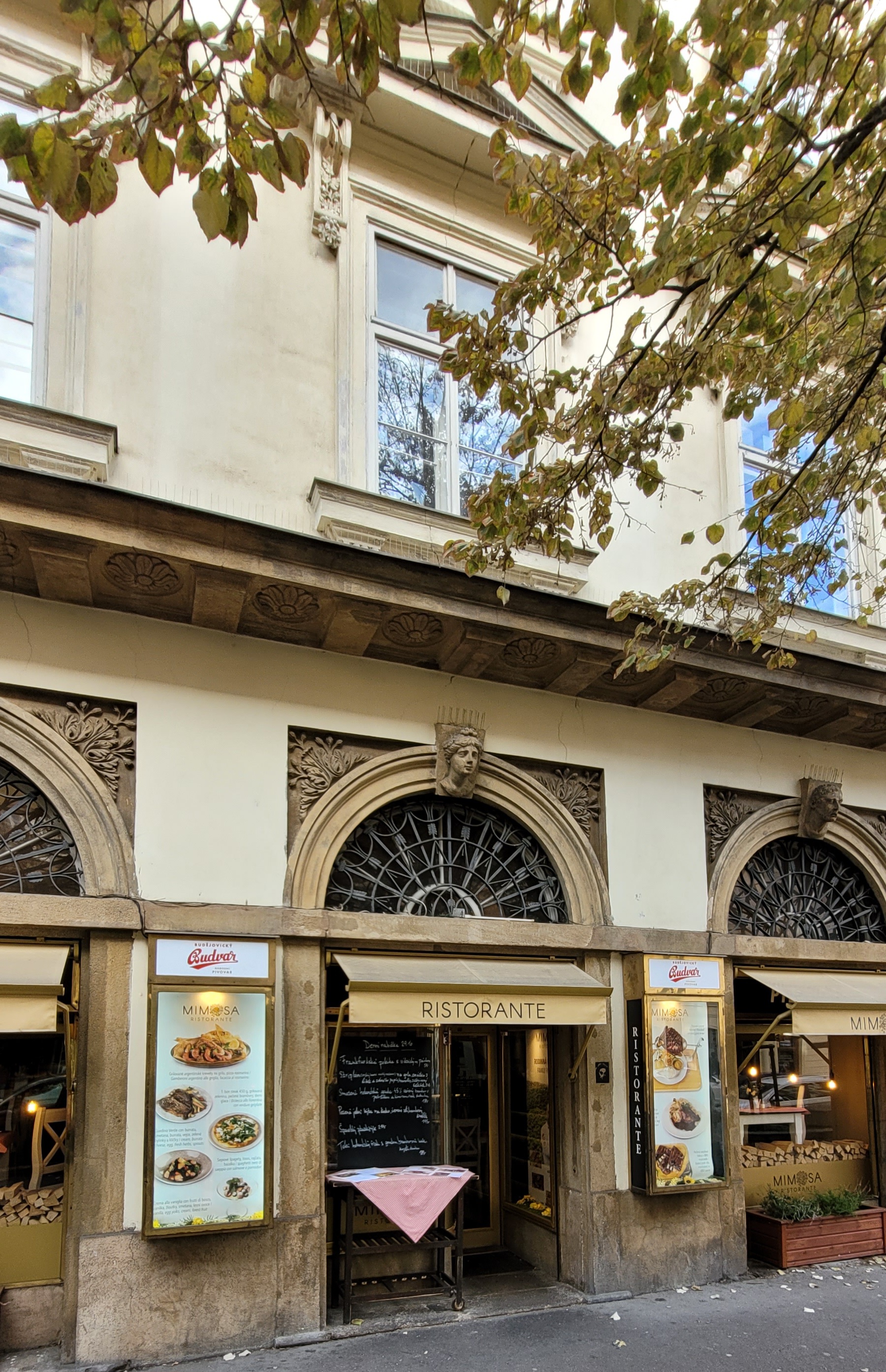 Ristorante Mimosa foto 2