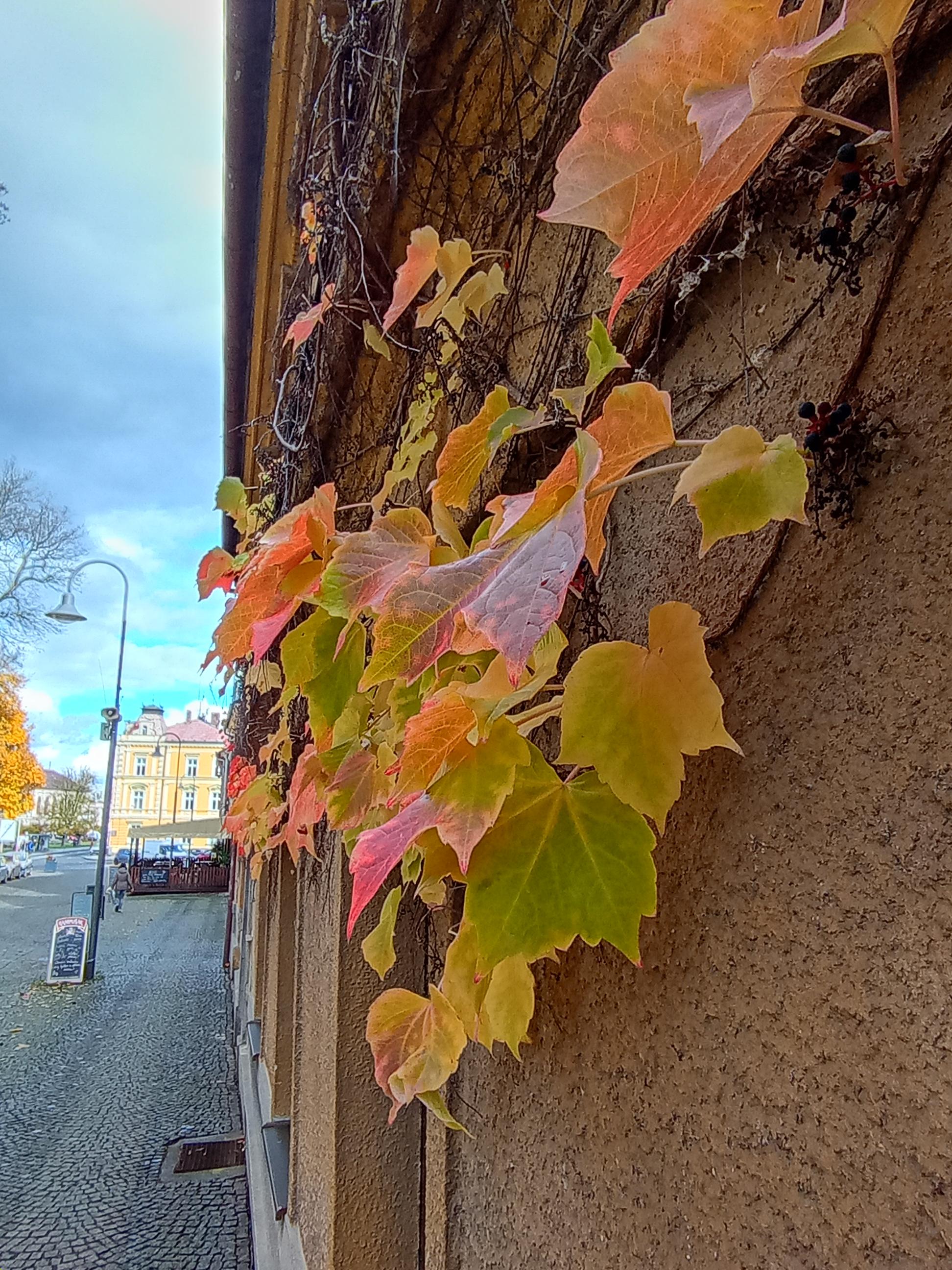 Iva Hušková - krejčovství foto 2