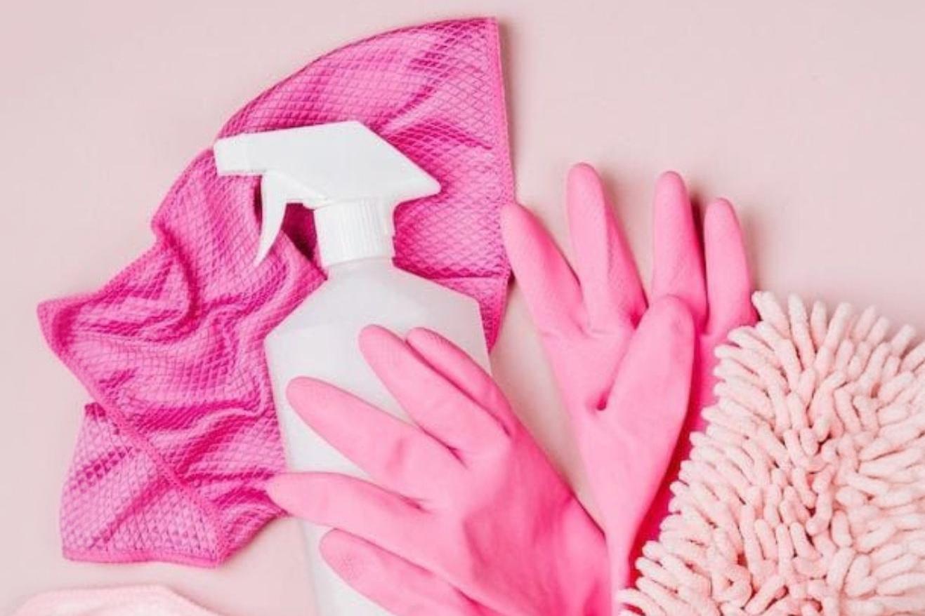 Marie Veseleňáková - FreshMA