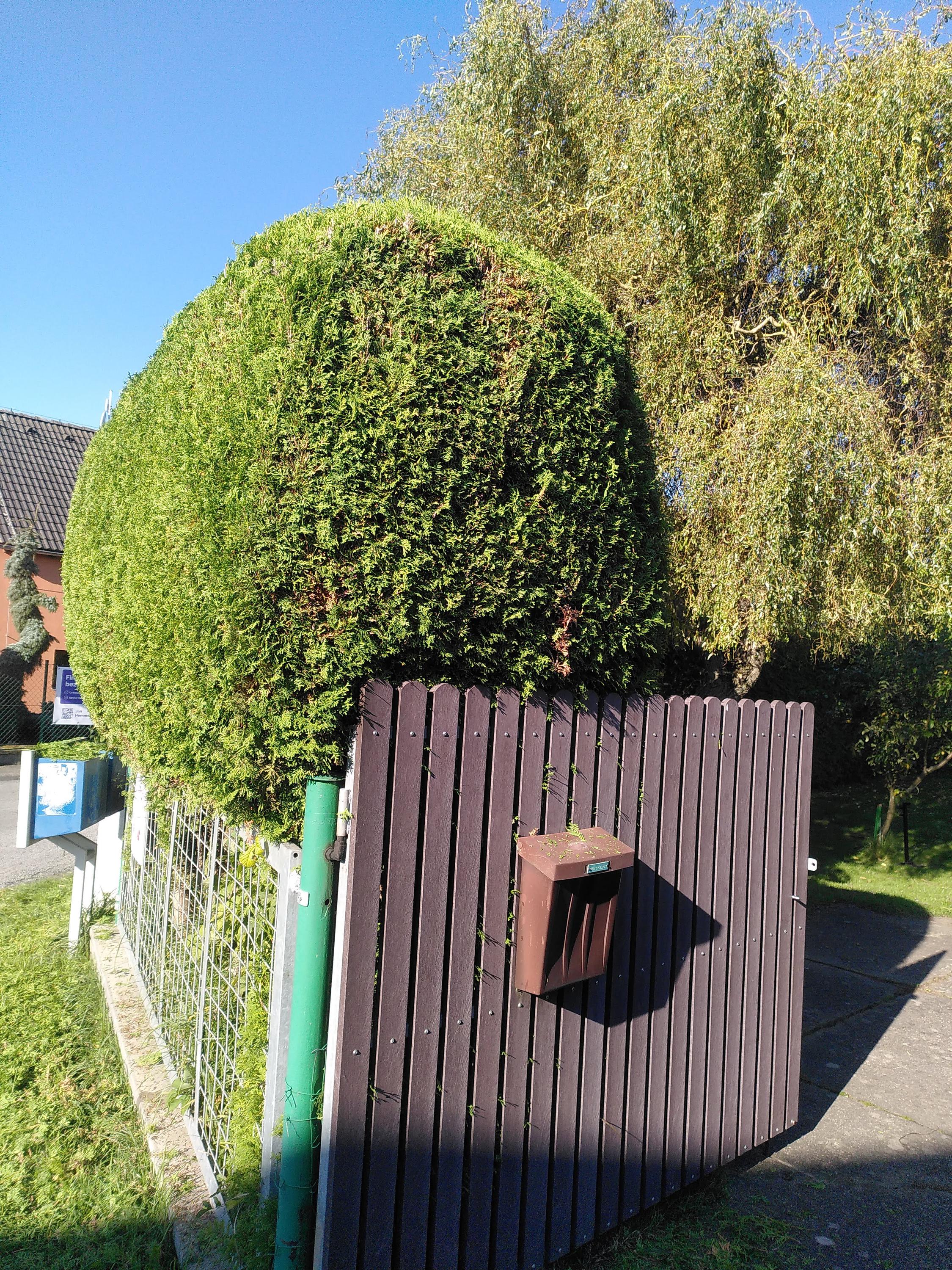 ZAHRADY JONATHAN foto 6