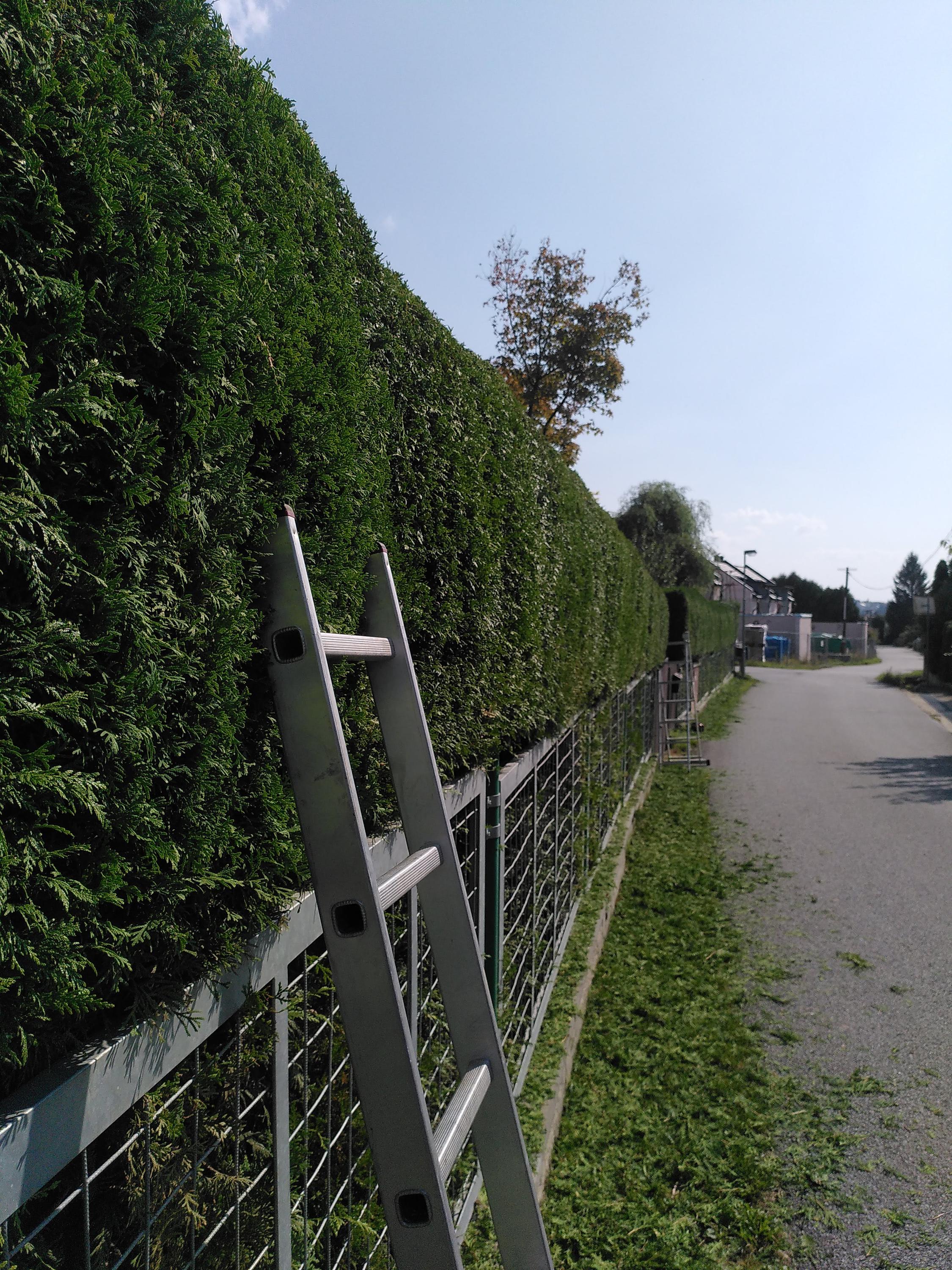 ZAHRADY JONATHAN foto 2