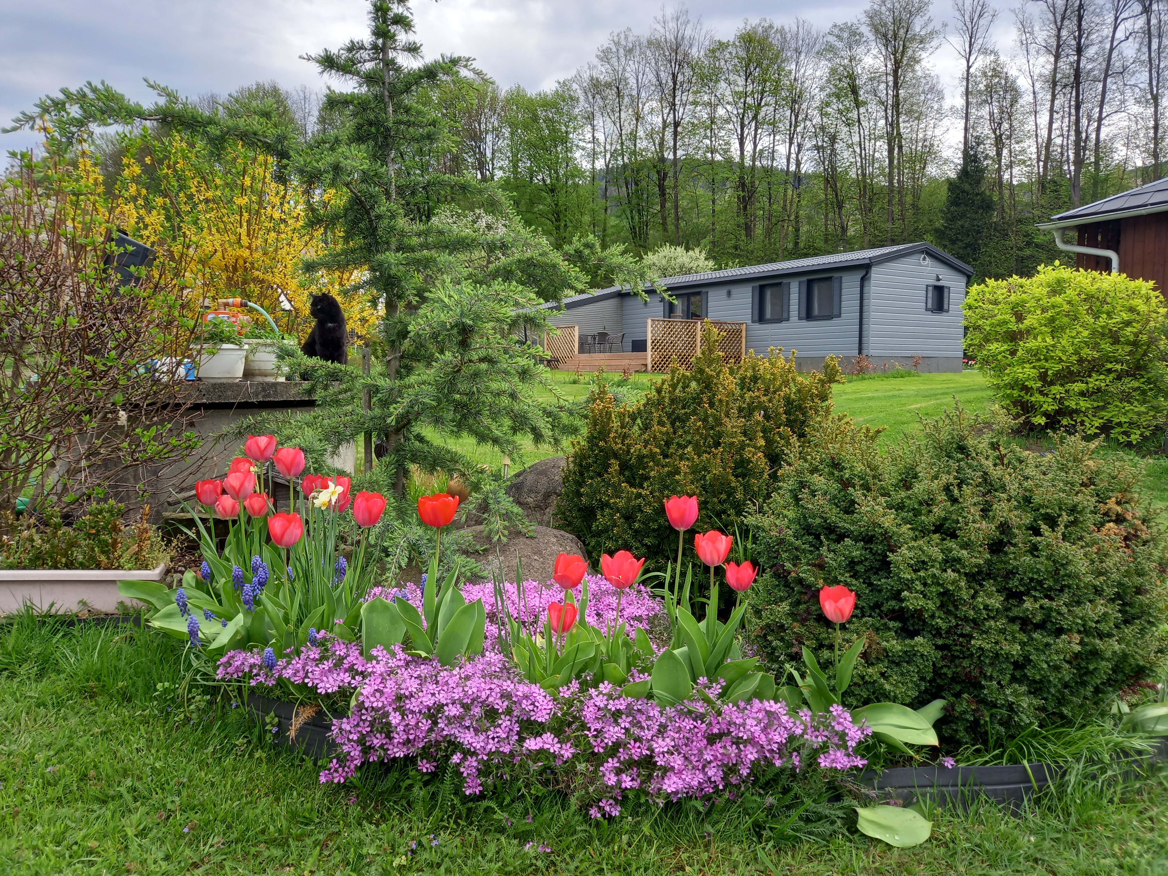 Chata Jesenická Idylka foto 4