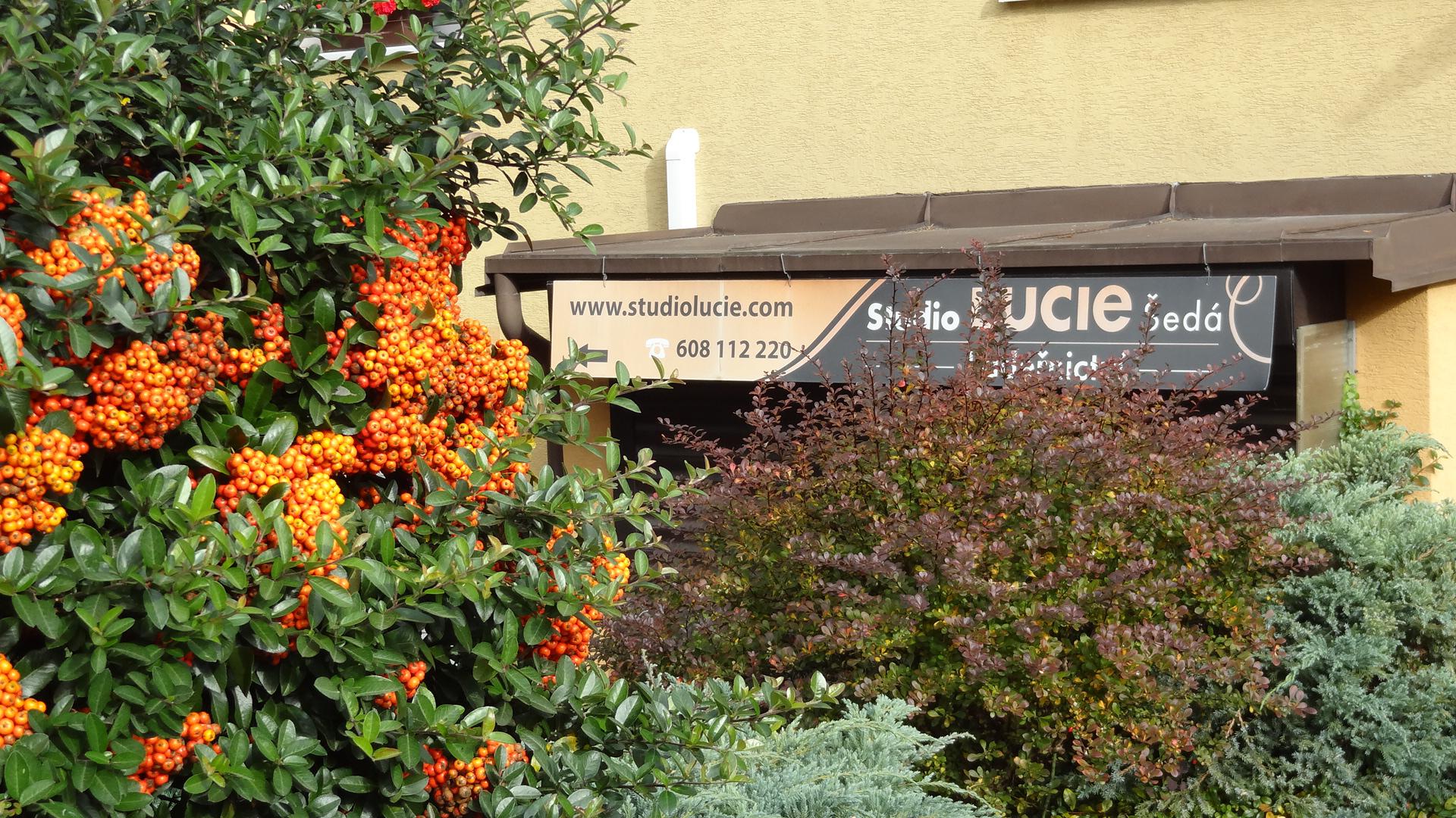 Studio LUCIE Šedá foto 3