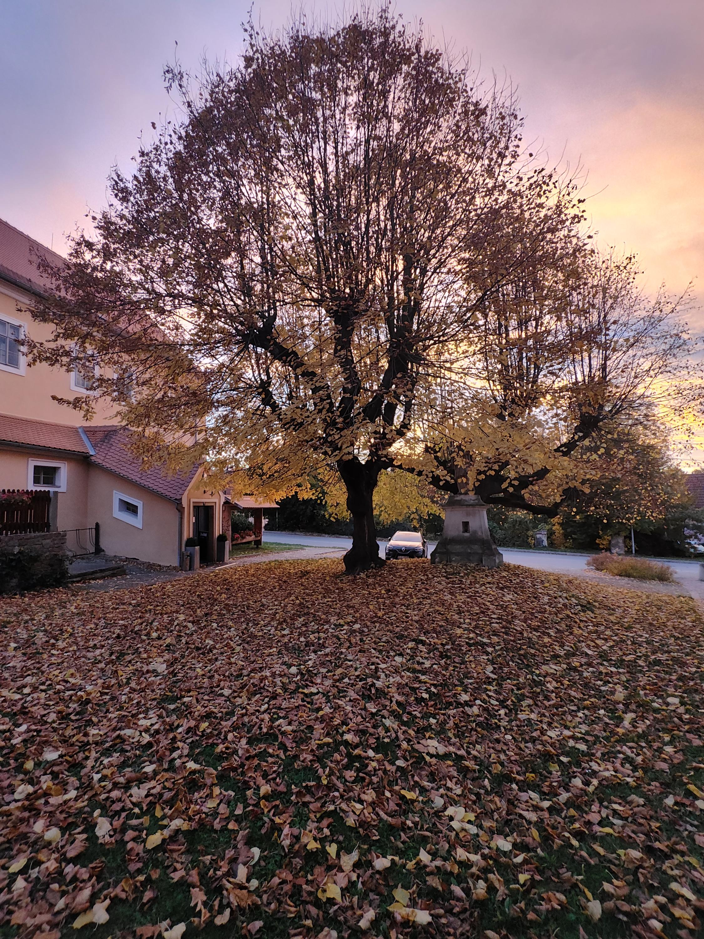 Penzion Na Kolářce foto 4