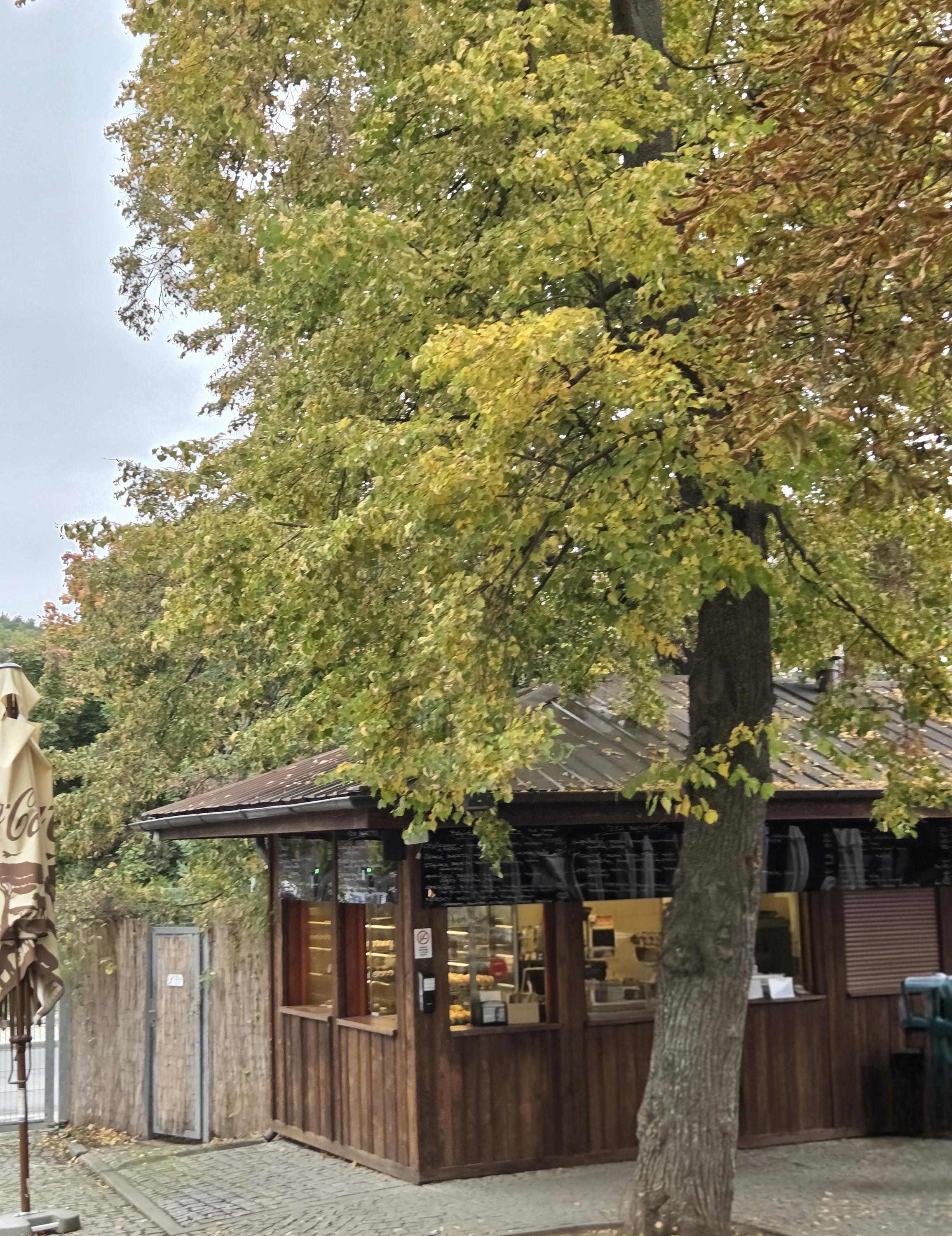 Občerstvení U Hrocha foto 3