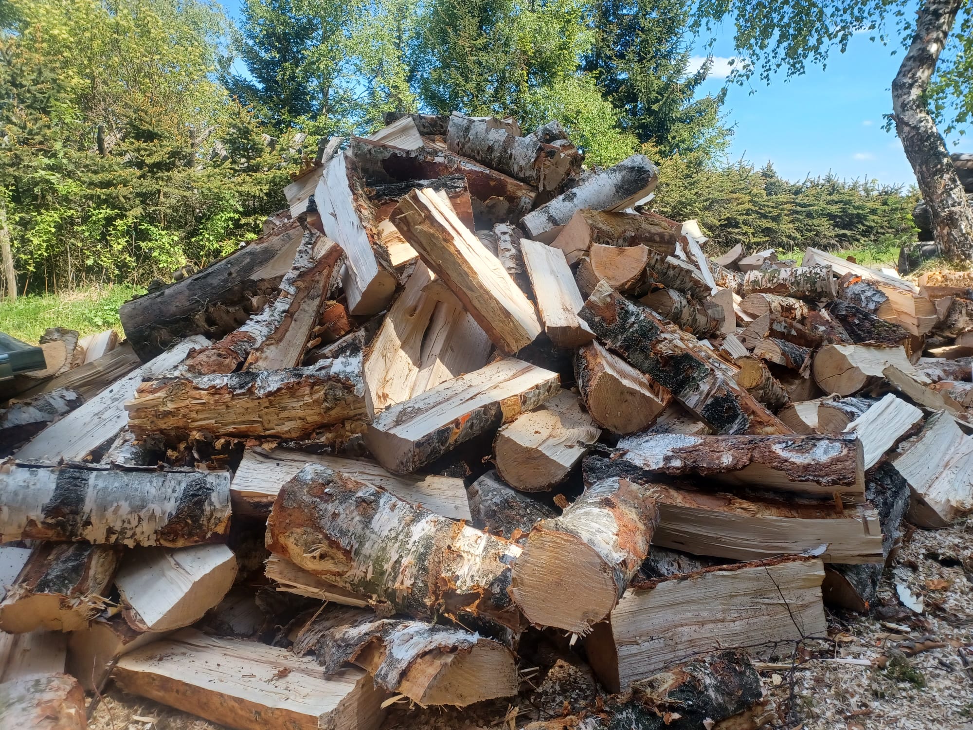 Palivové dřevo Litvínov foto 2