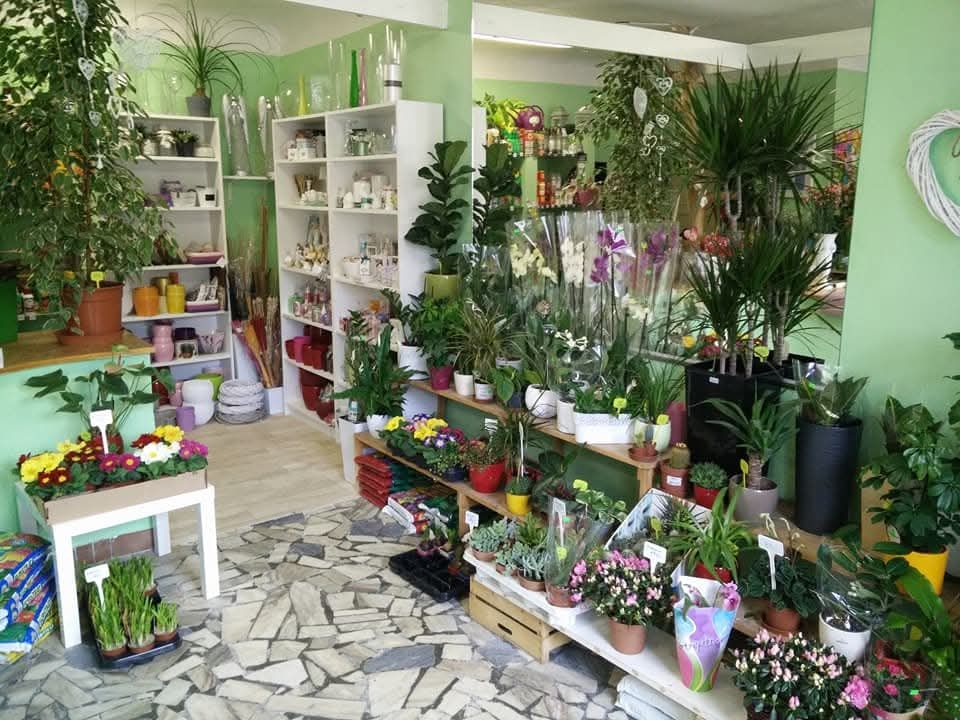 Květinářství Dagmar Kotrlová foto 2