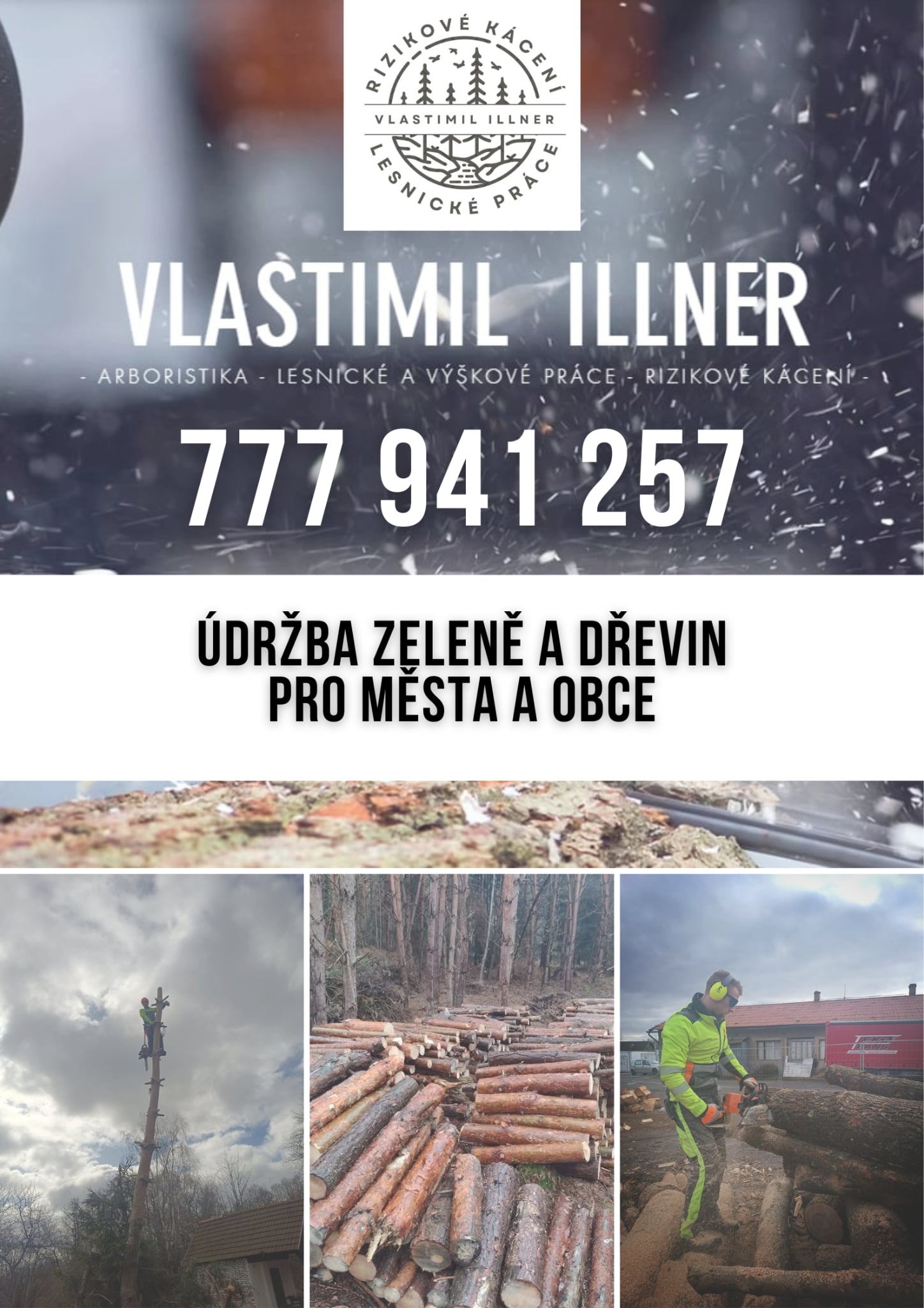 Vlastimil Illner - rizikové kácení foto 4