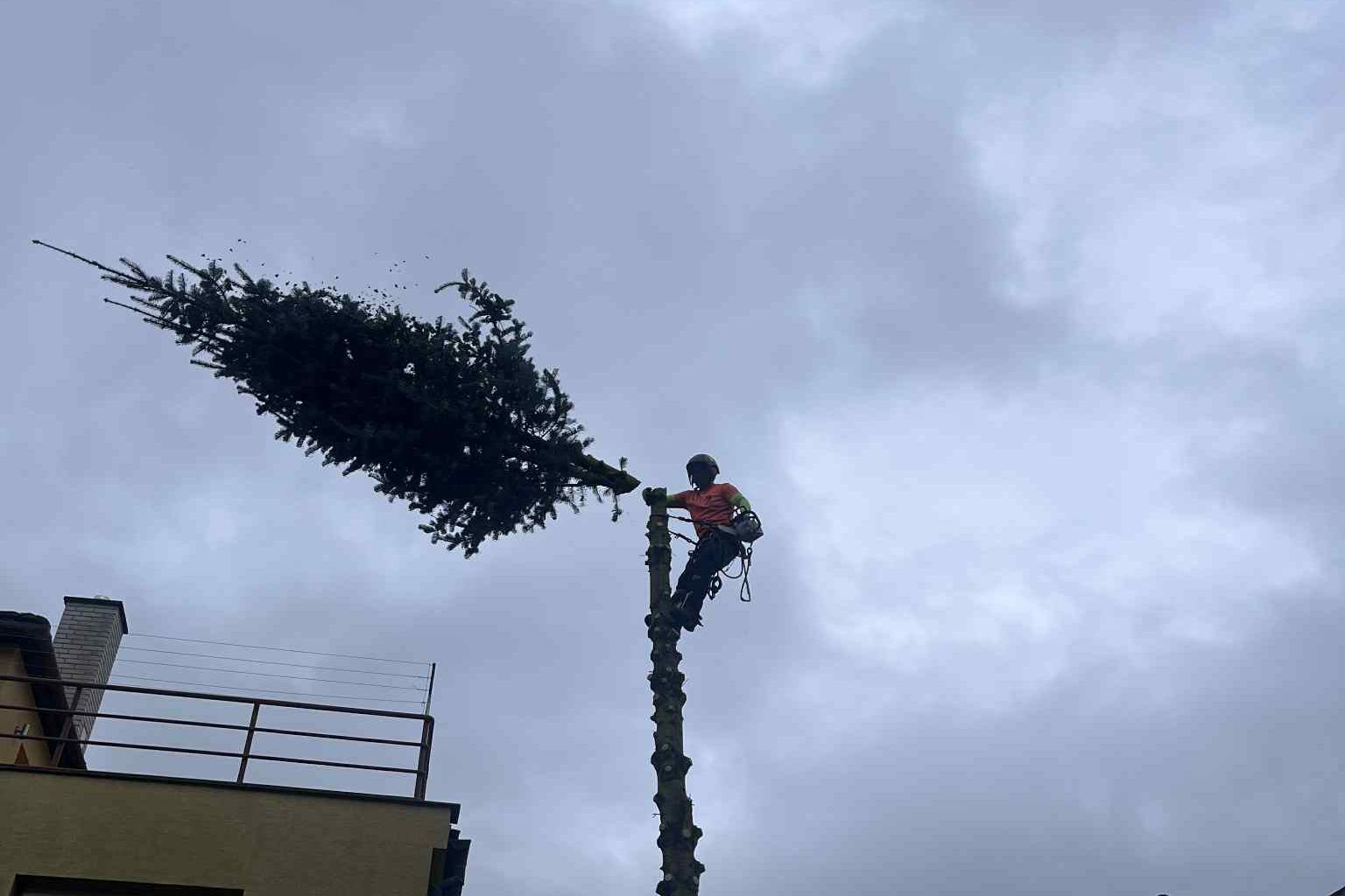 Jakub Štěpaník - Rizikové kácení stromů a stavební práce