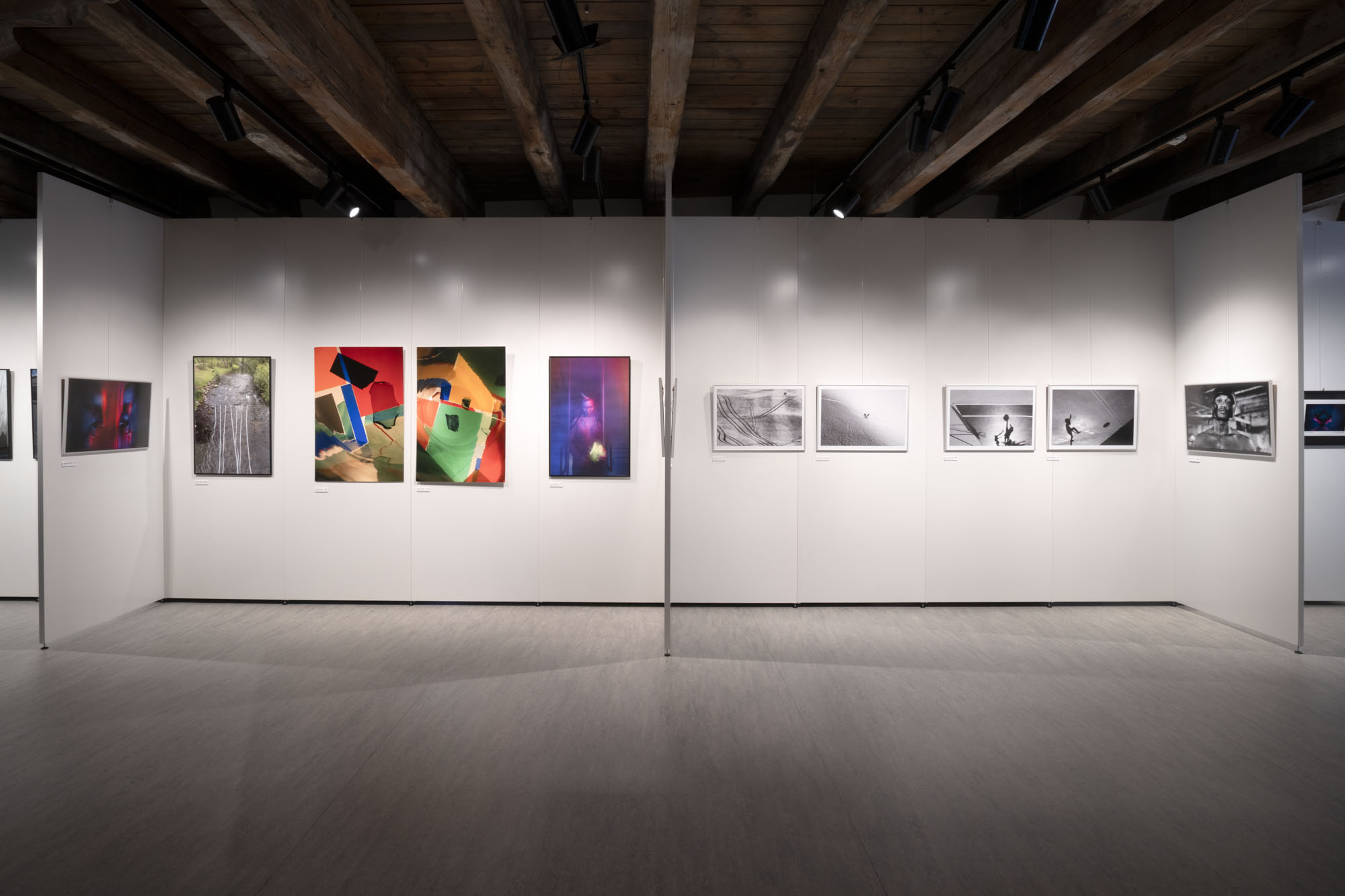 Asociace profesionálních fotografů ČR foto 4