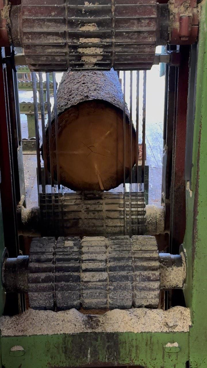 Pila Olešná s.r.o. foto 4