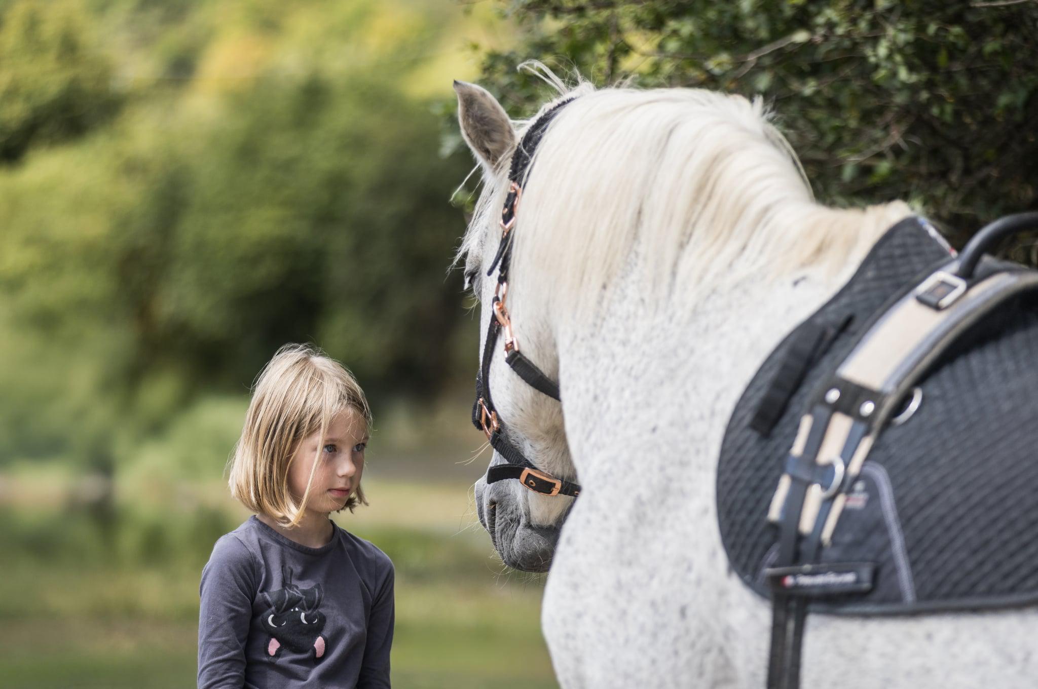 SPOLU HIPOREHABILITACE