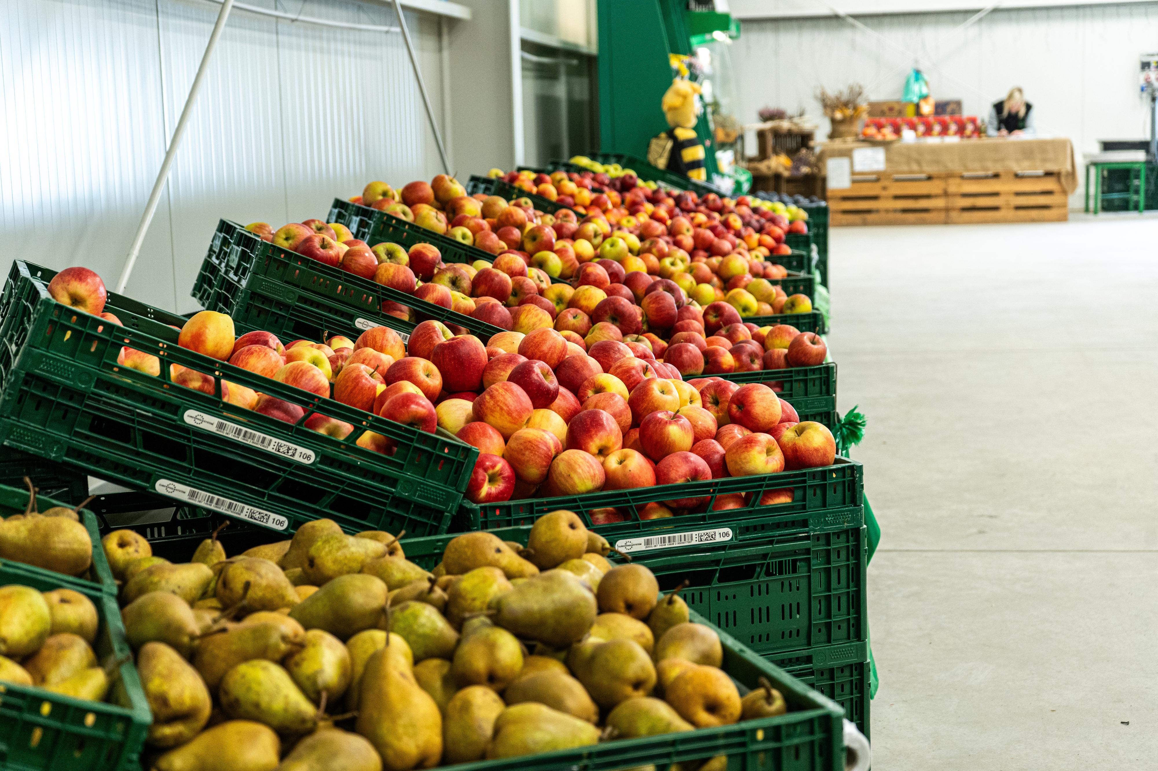 GIRA fruit, s.r.o. - Farmářská prodejna foto 2