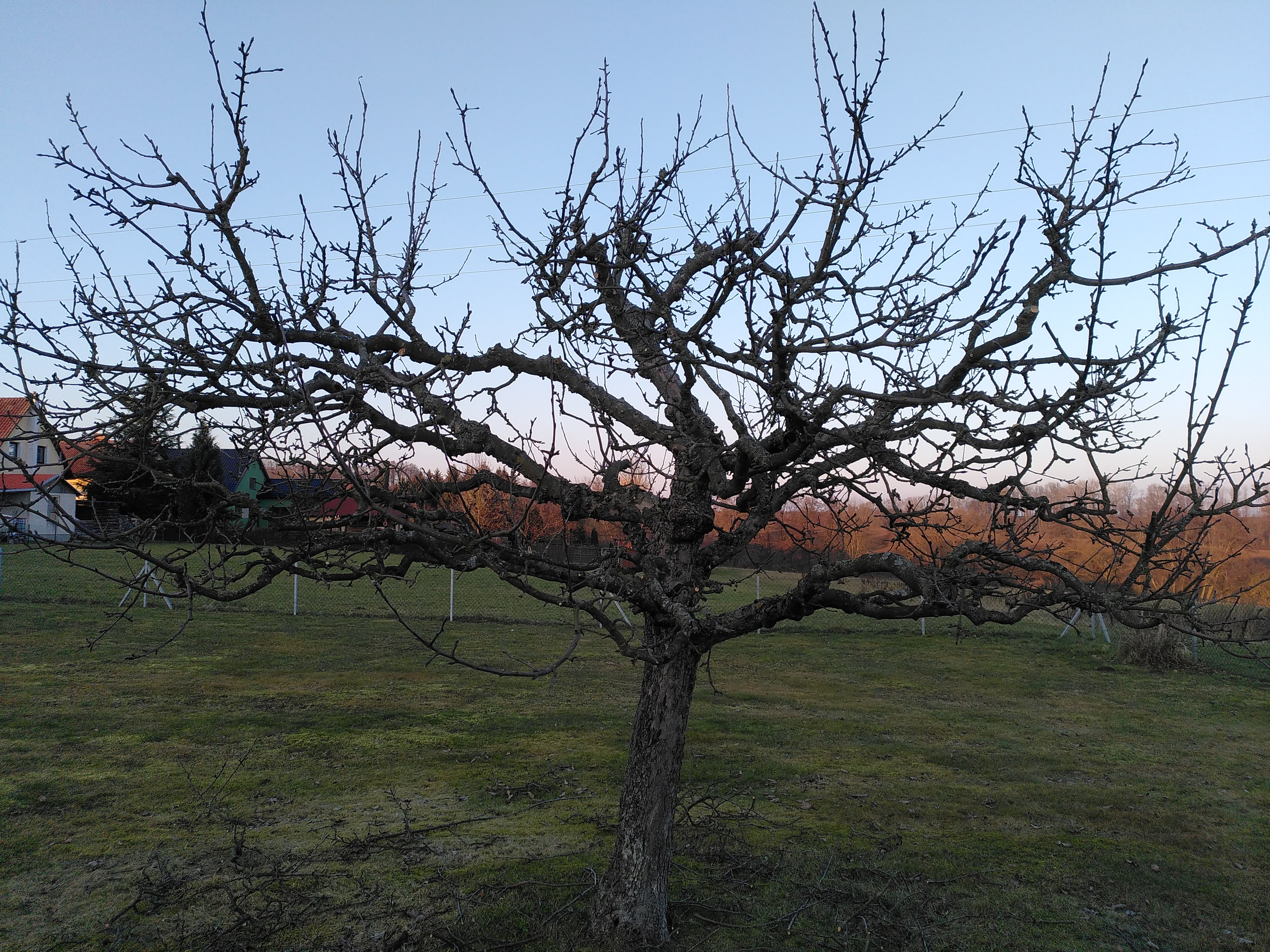 ZAHRADY JONATHAN foto 4