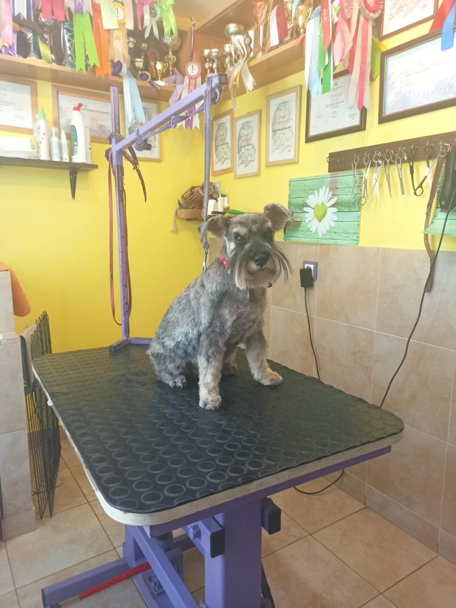 Lenka Bučková foto 4