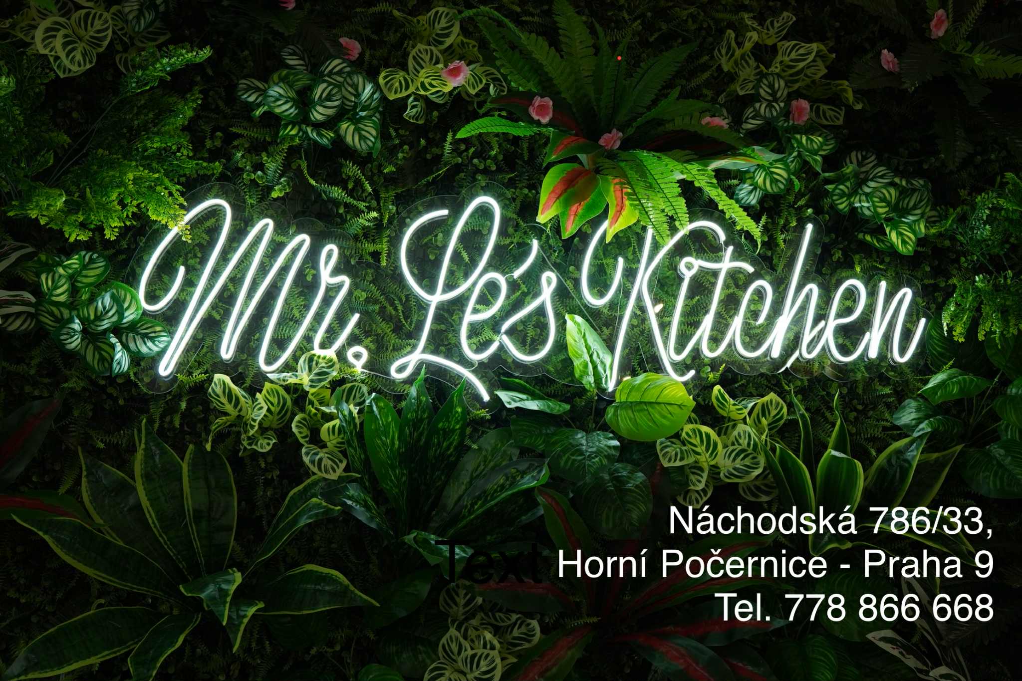 Mr. Le’s Kitchen foto 3