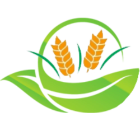 Olej avokádový BIO 250ml HEALTH LINK v obchodě Zdravejsivolba.cz