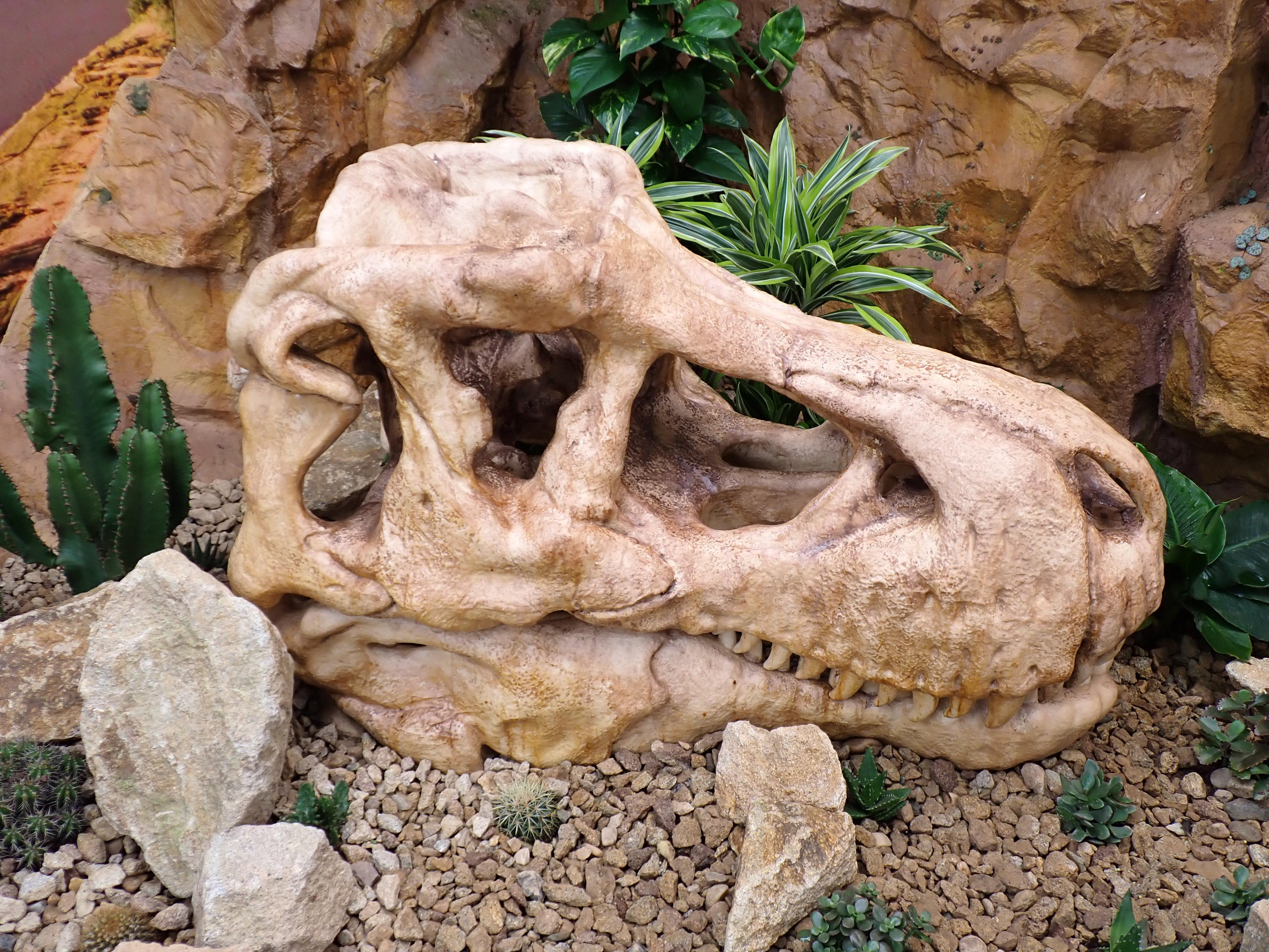 Papilonia – motýlí dům foto 6