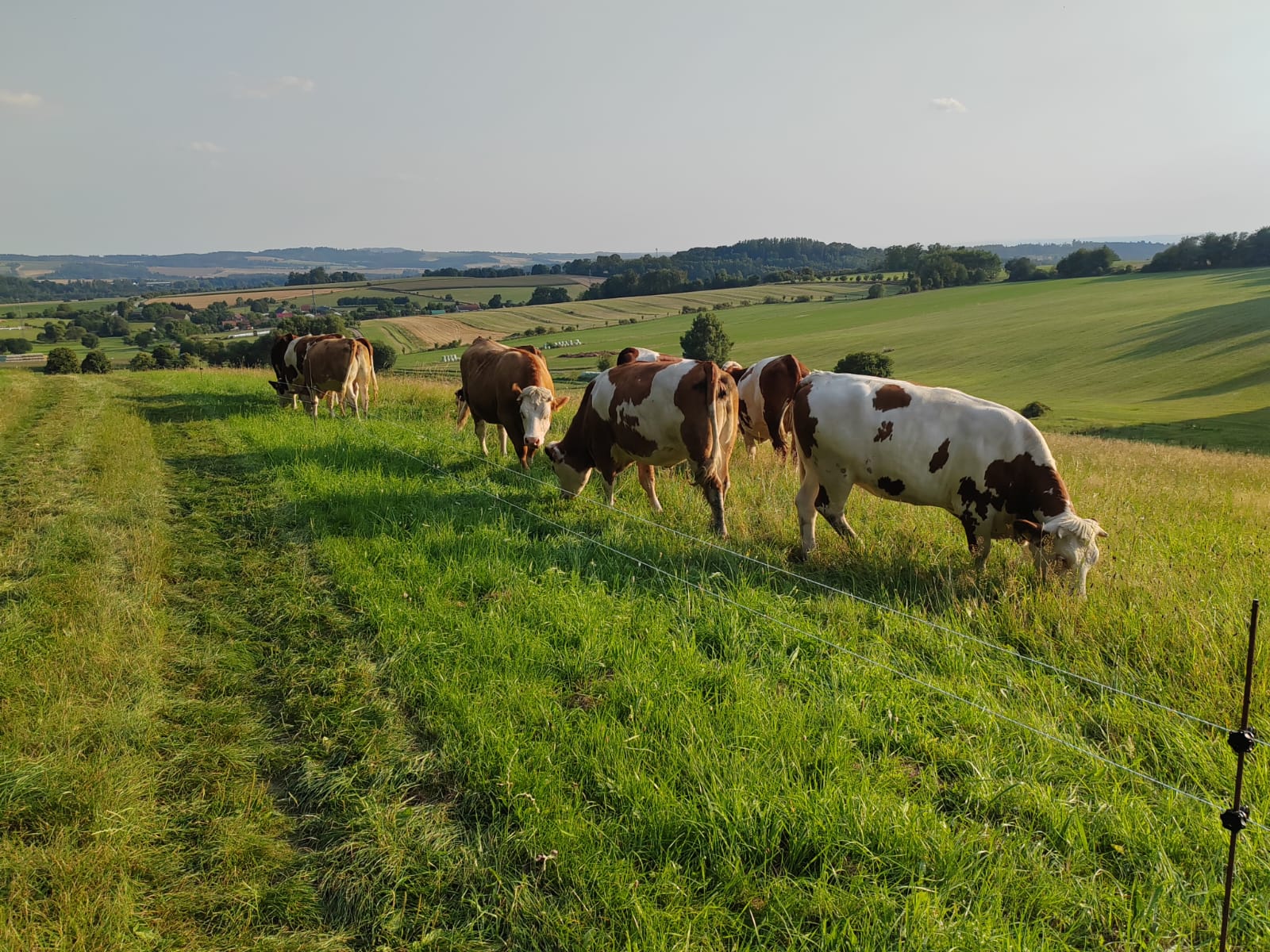 Farma Nejdrovi foto 3