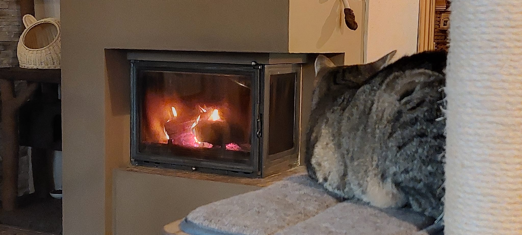 Kočičí kavárna u řeky foto 4