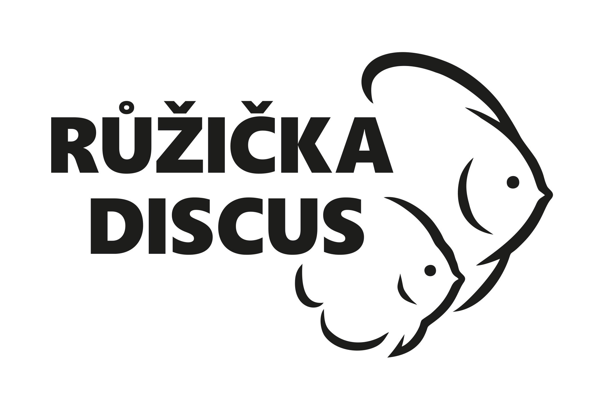 Růžička Discus foto 6