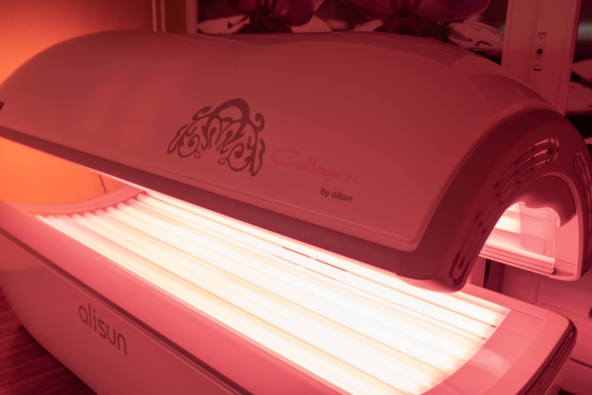 Vstup do Collagenária i pro neubytované hosty