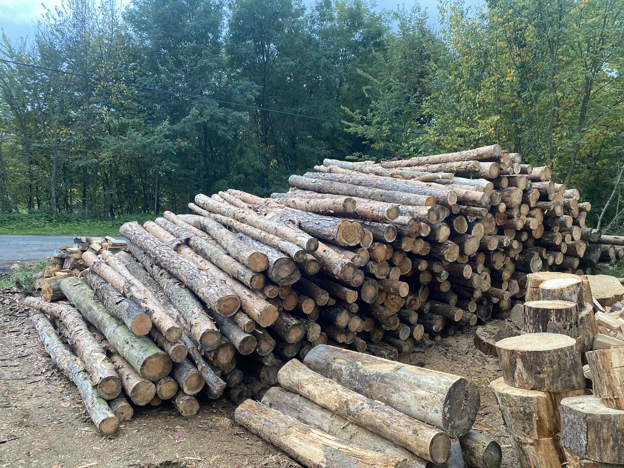 Dřevo Dřevojan foto 4