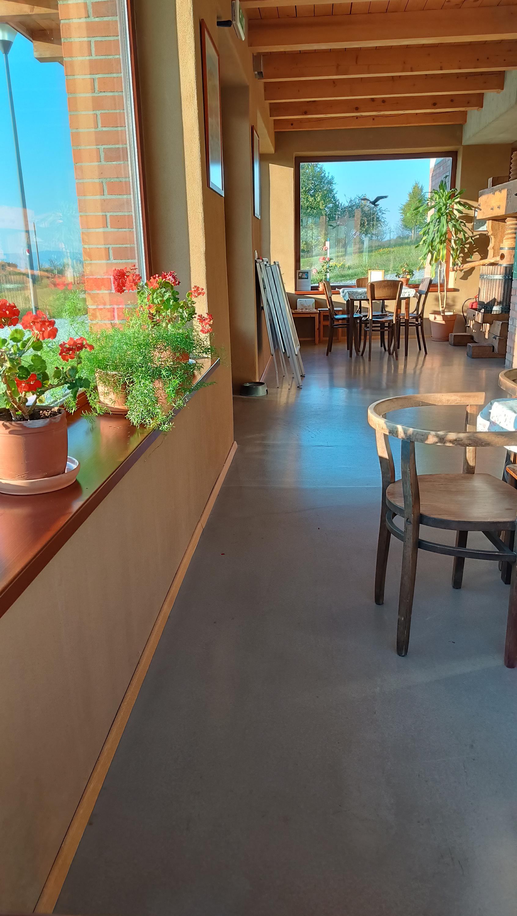 Občerstvení skanzen Rochus foto 2