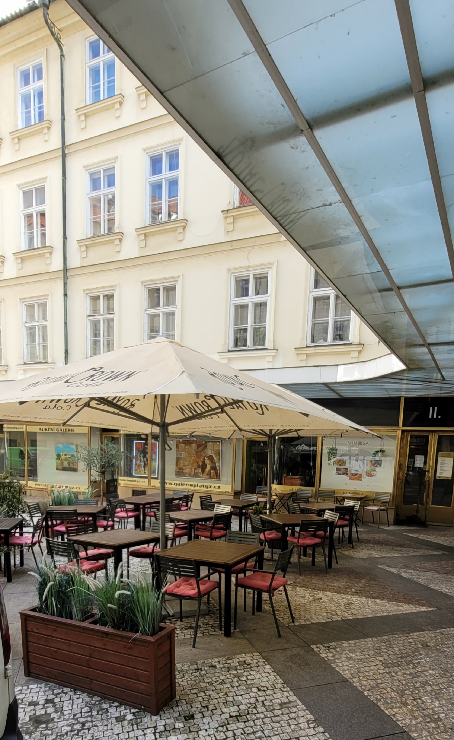 Ristorante Mimosa foto 6